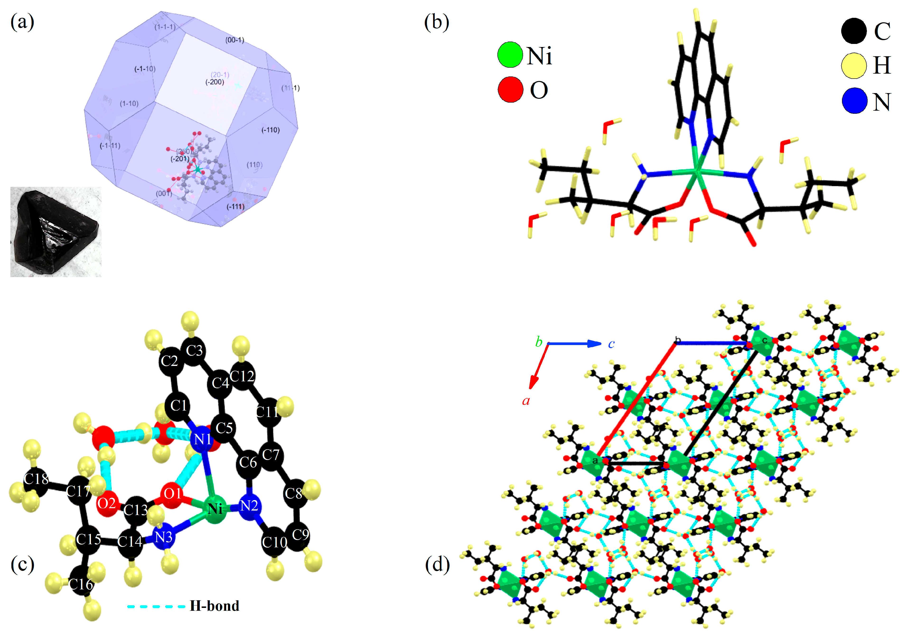 Molecules 30 02873 g001