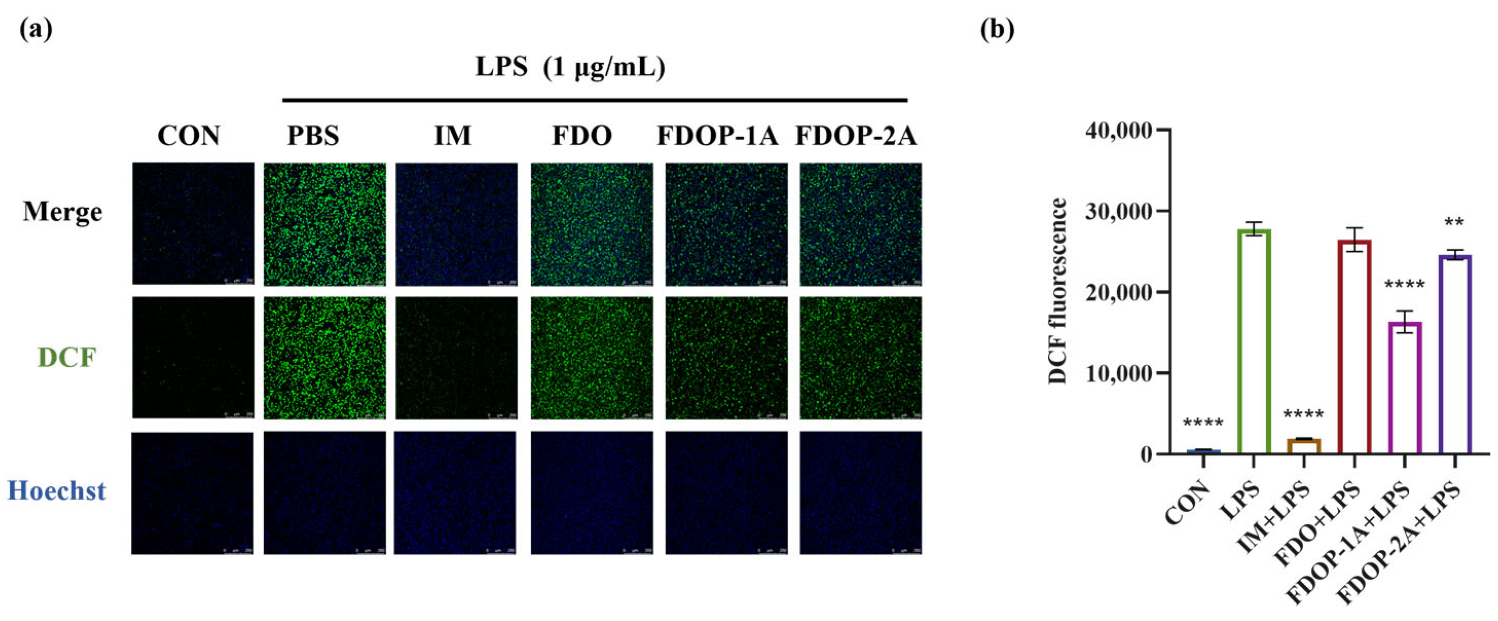 Molecules 30 02875 g005