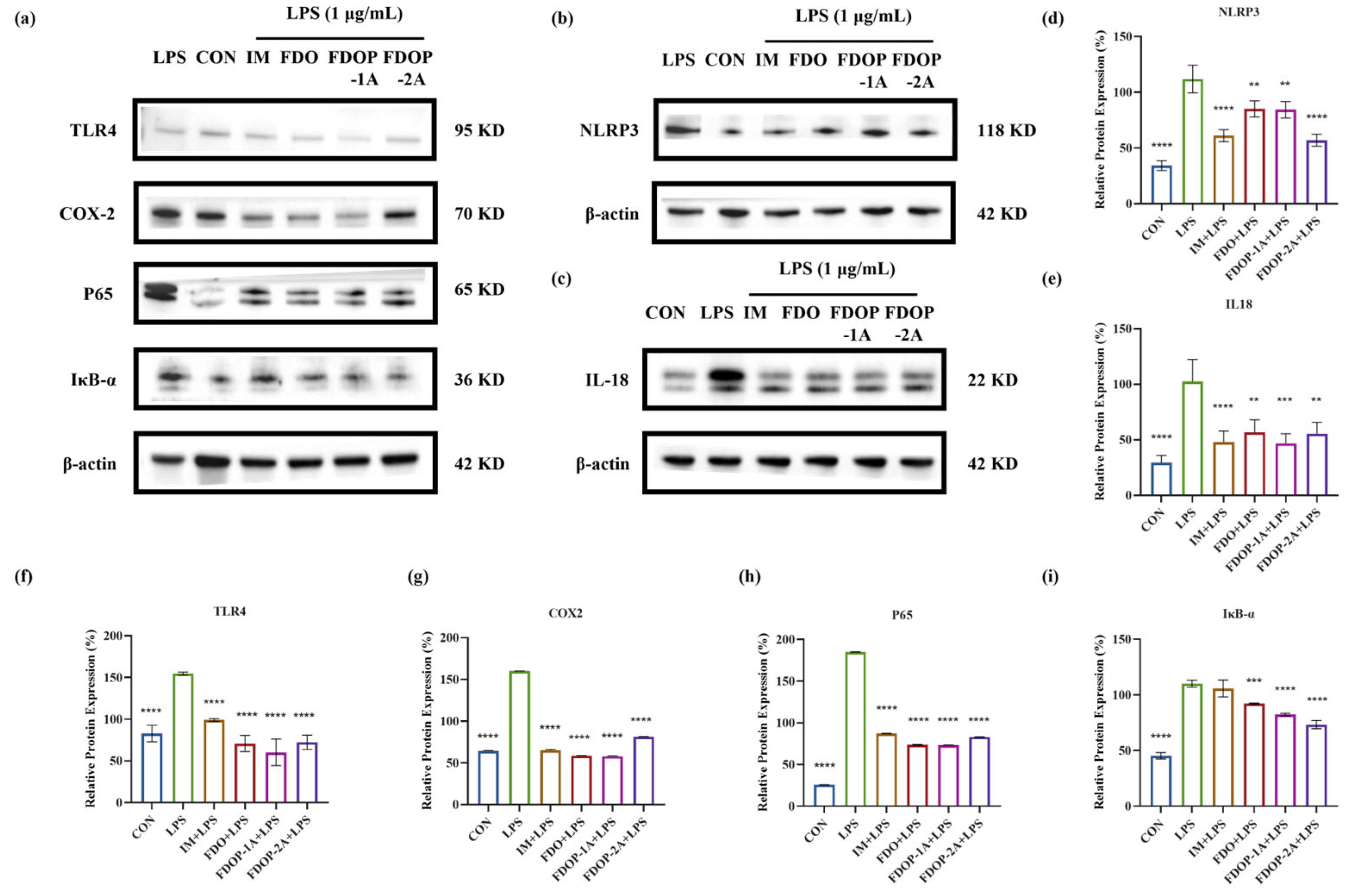 Molecules 30 02875 g006