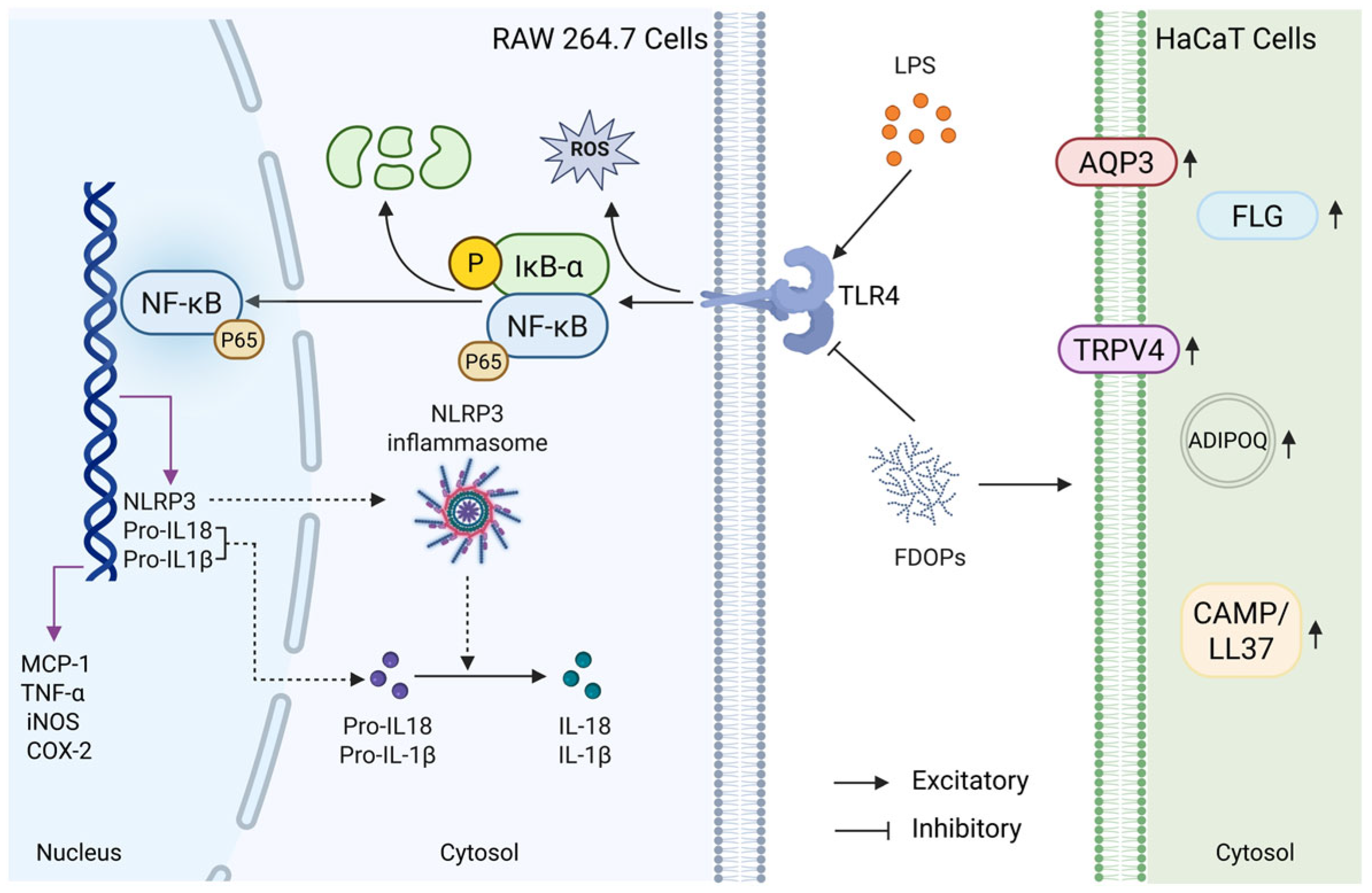 Molecules 30 02875 g008