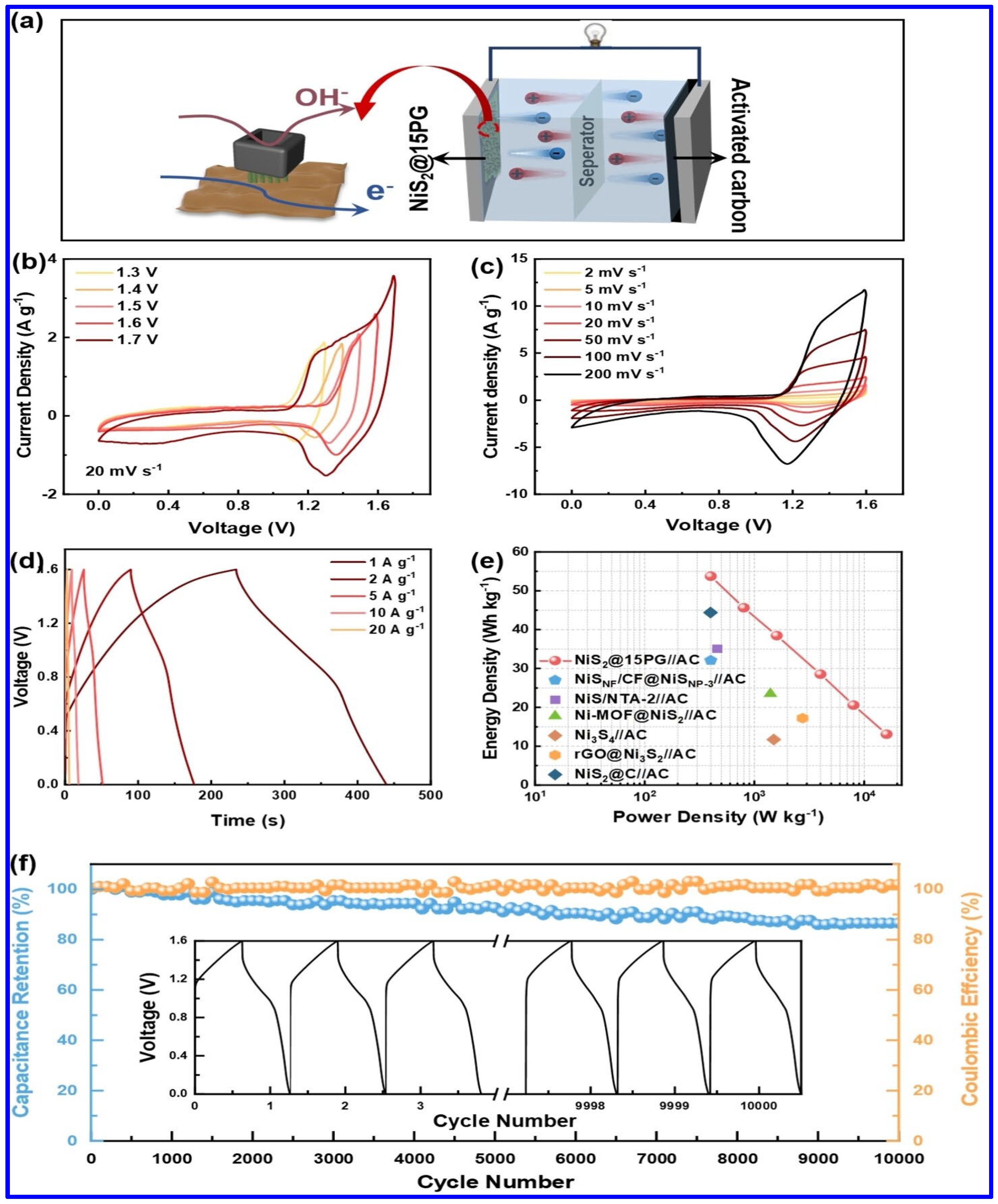 Molecules 30 02877 g007