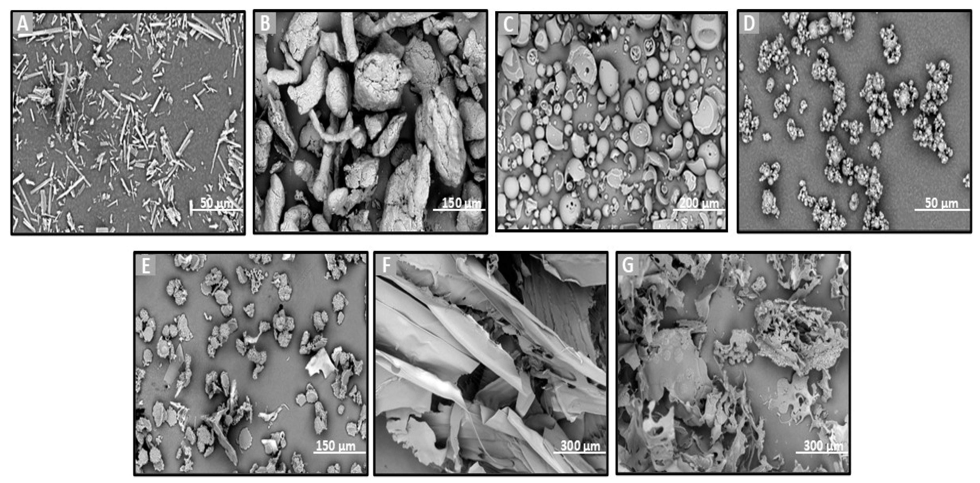 Molecules 30 02878 g002