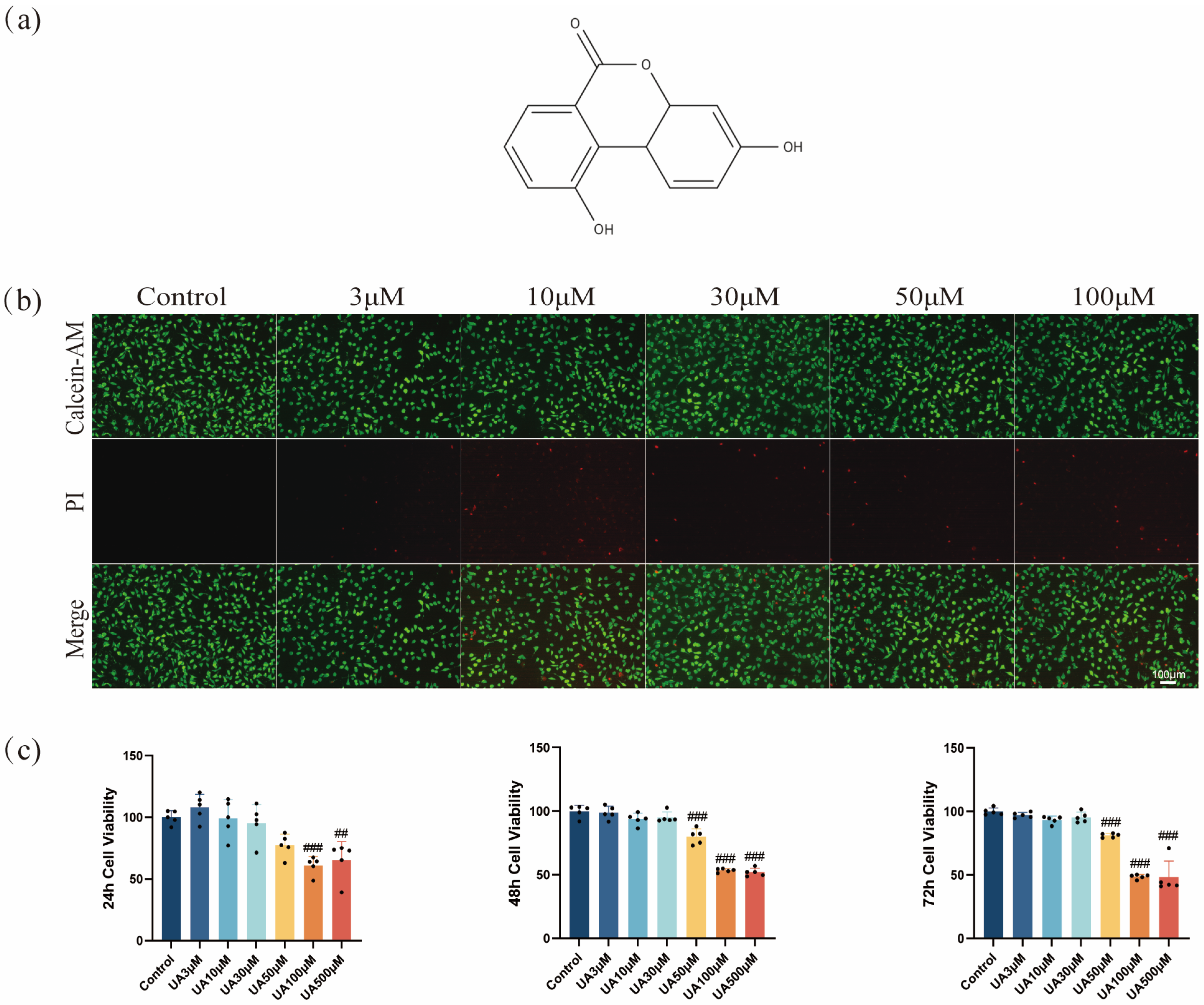 Molecules 30 02881 g001
