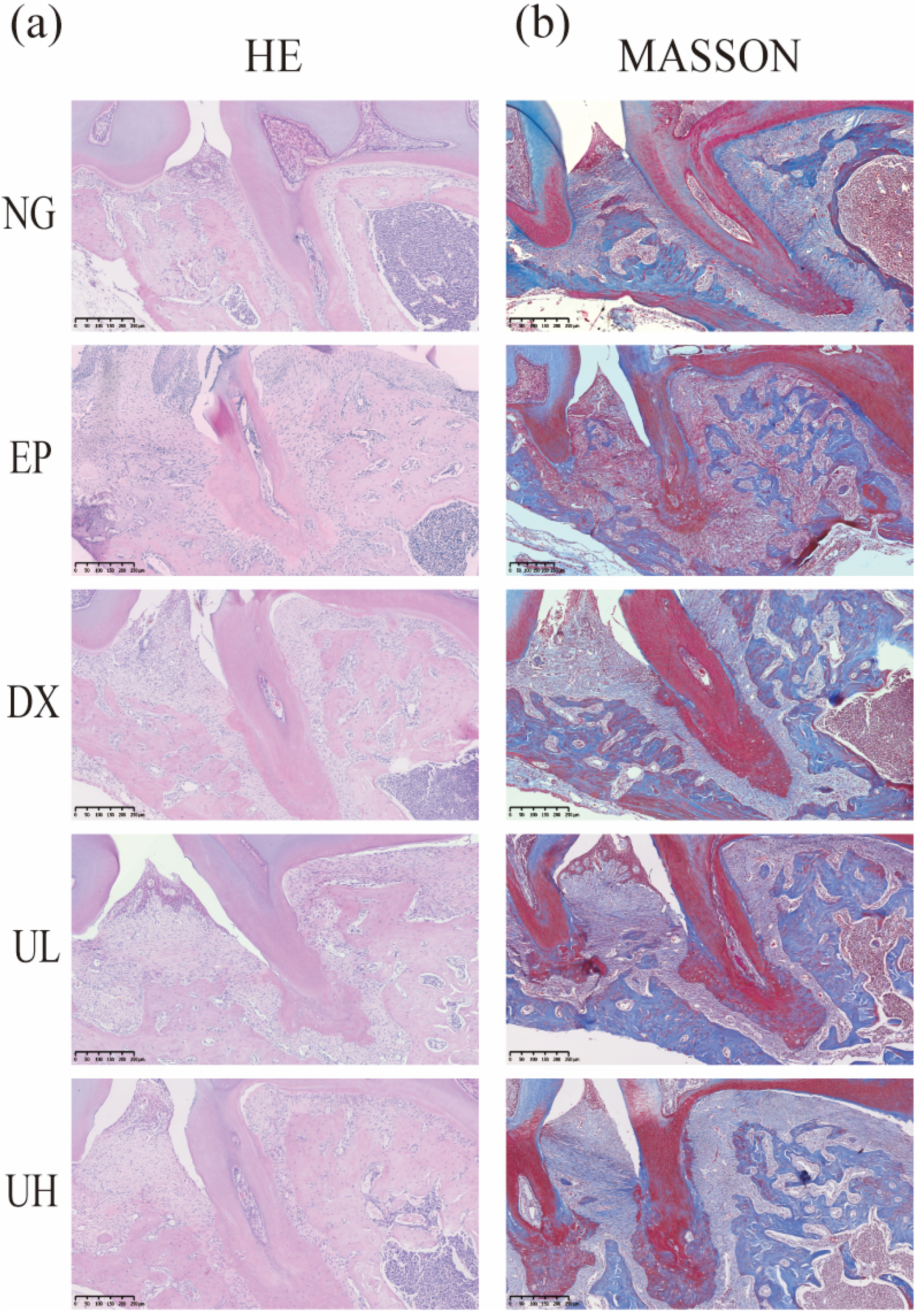 Molecules 30 02881 g003
