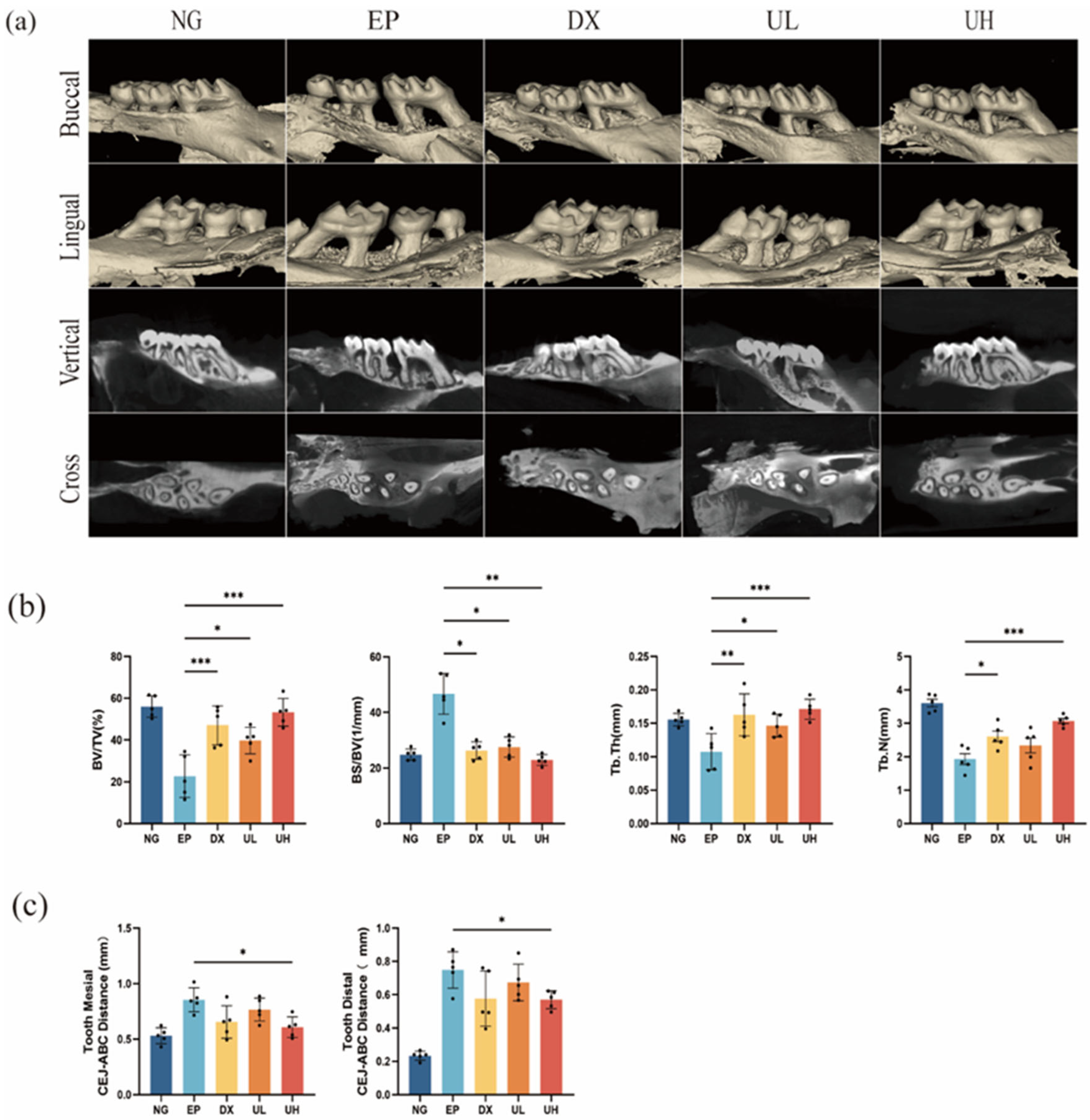 Molecules 30 02881 g004