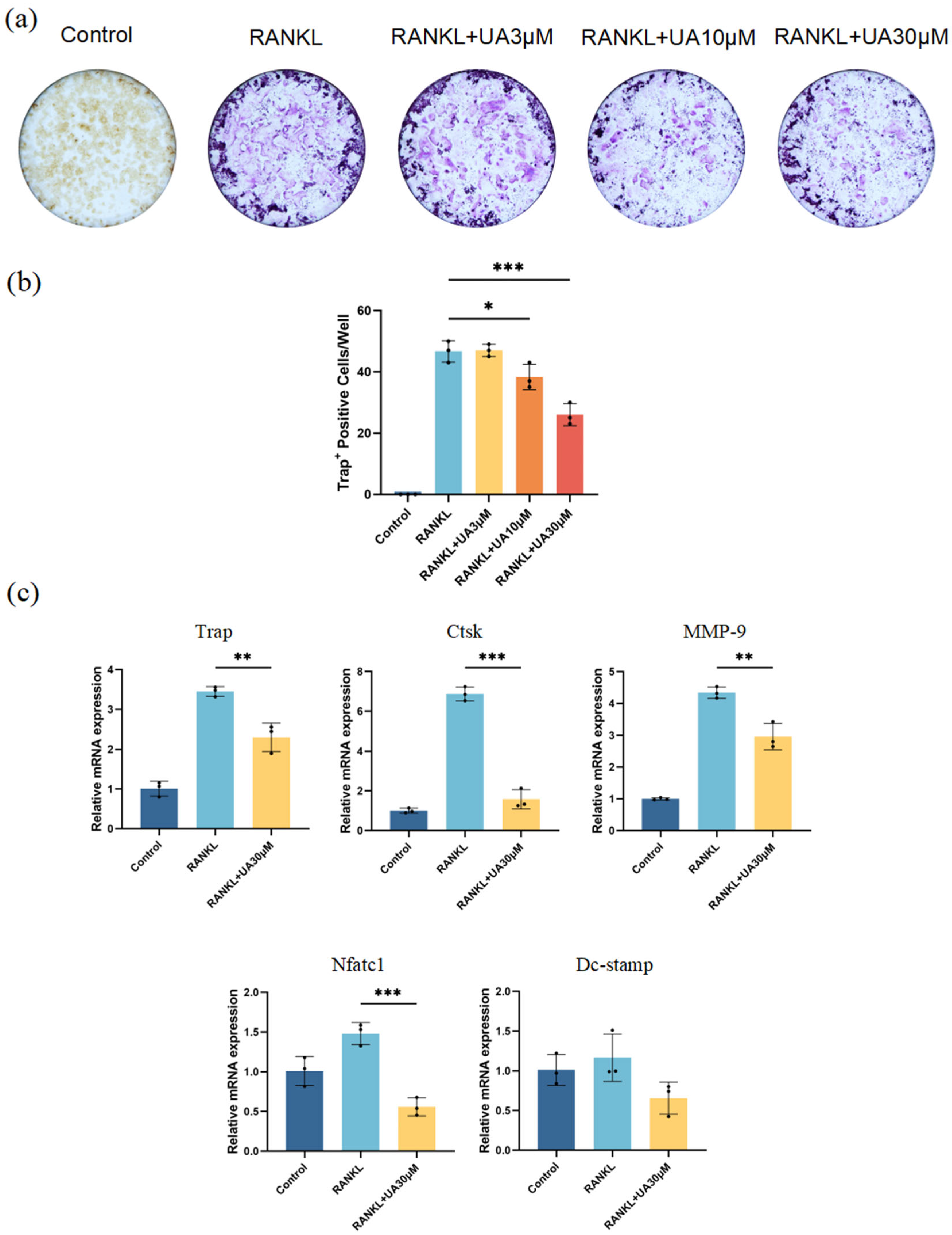 Molecules 30 02881 g005
