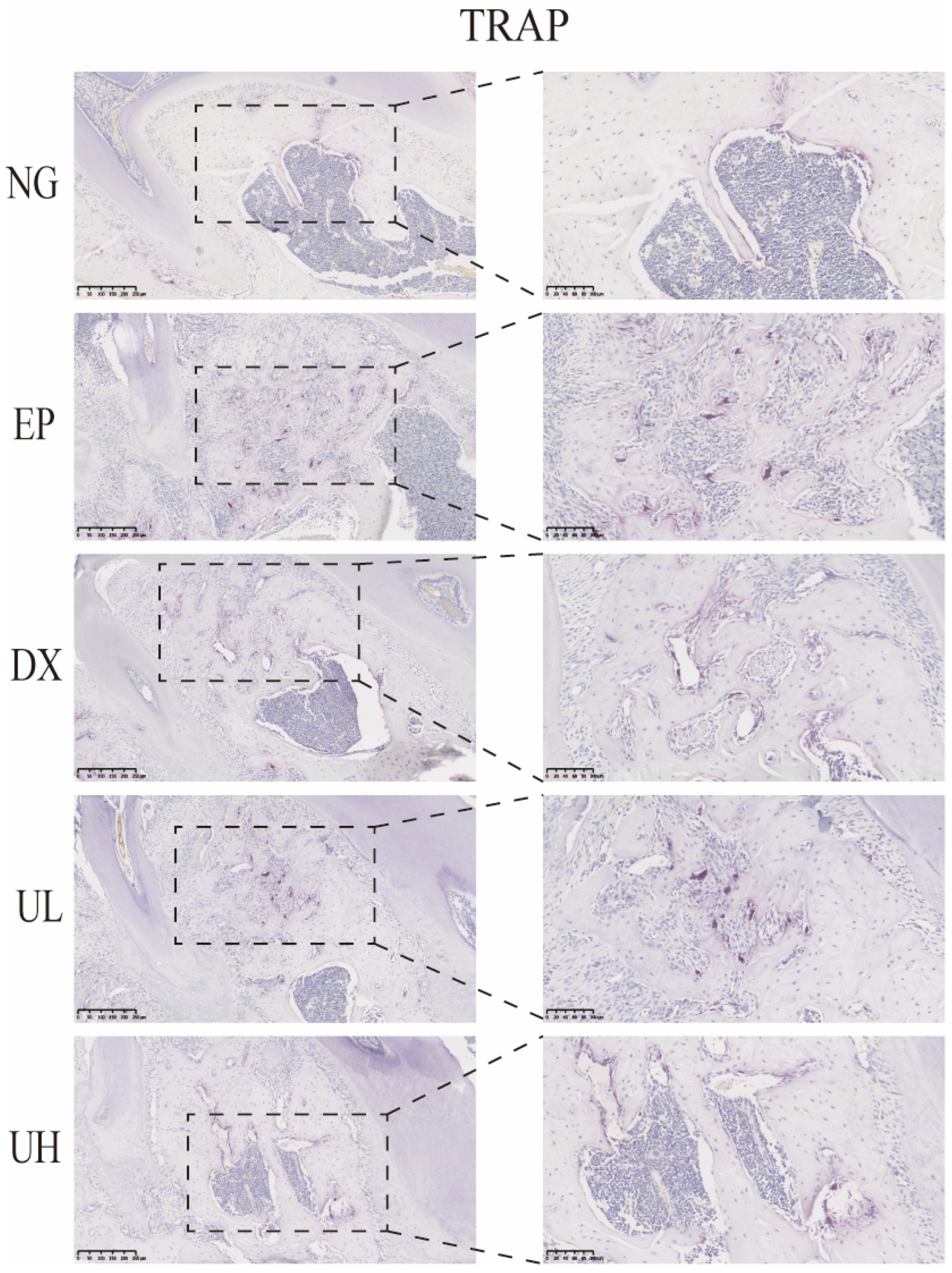 Molecules 30 02881 g006