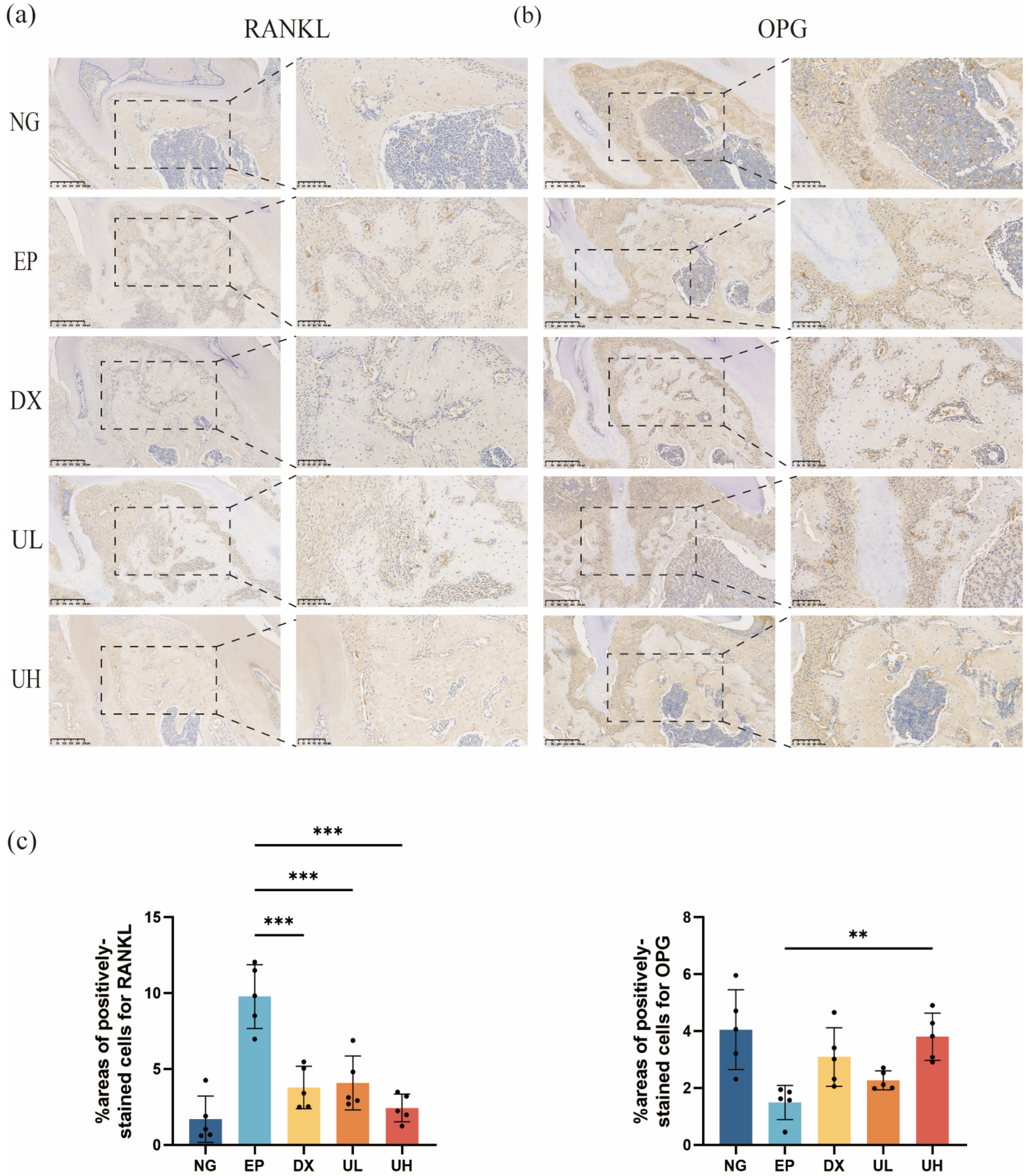 Molecules 30 02881 g007