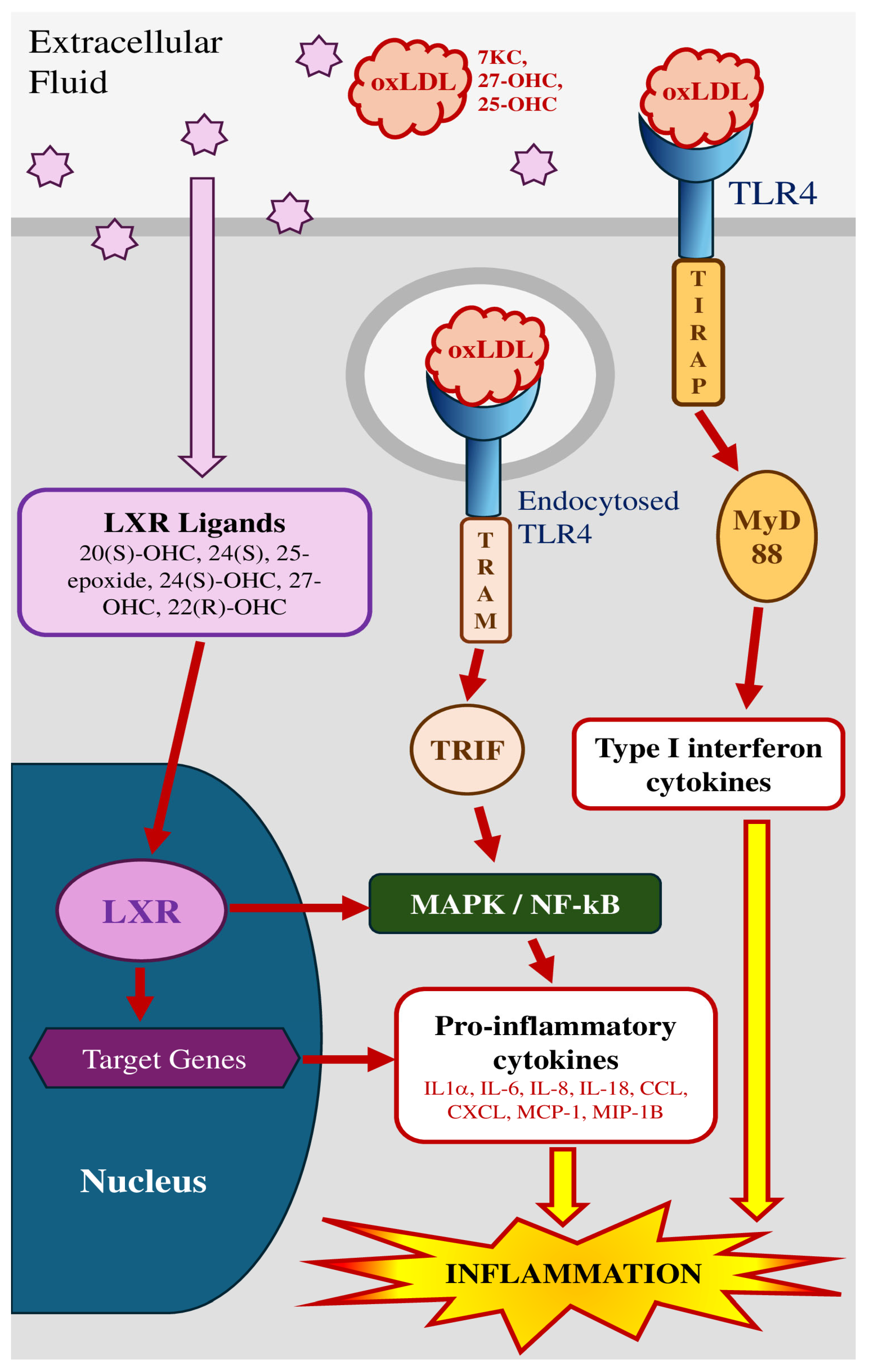 Molecules 30 02883 g002