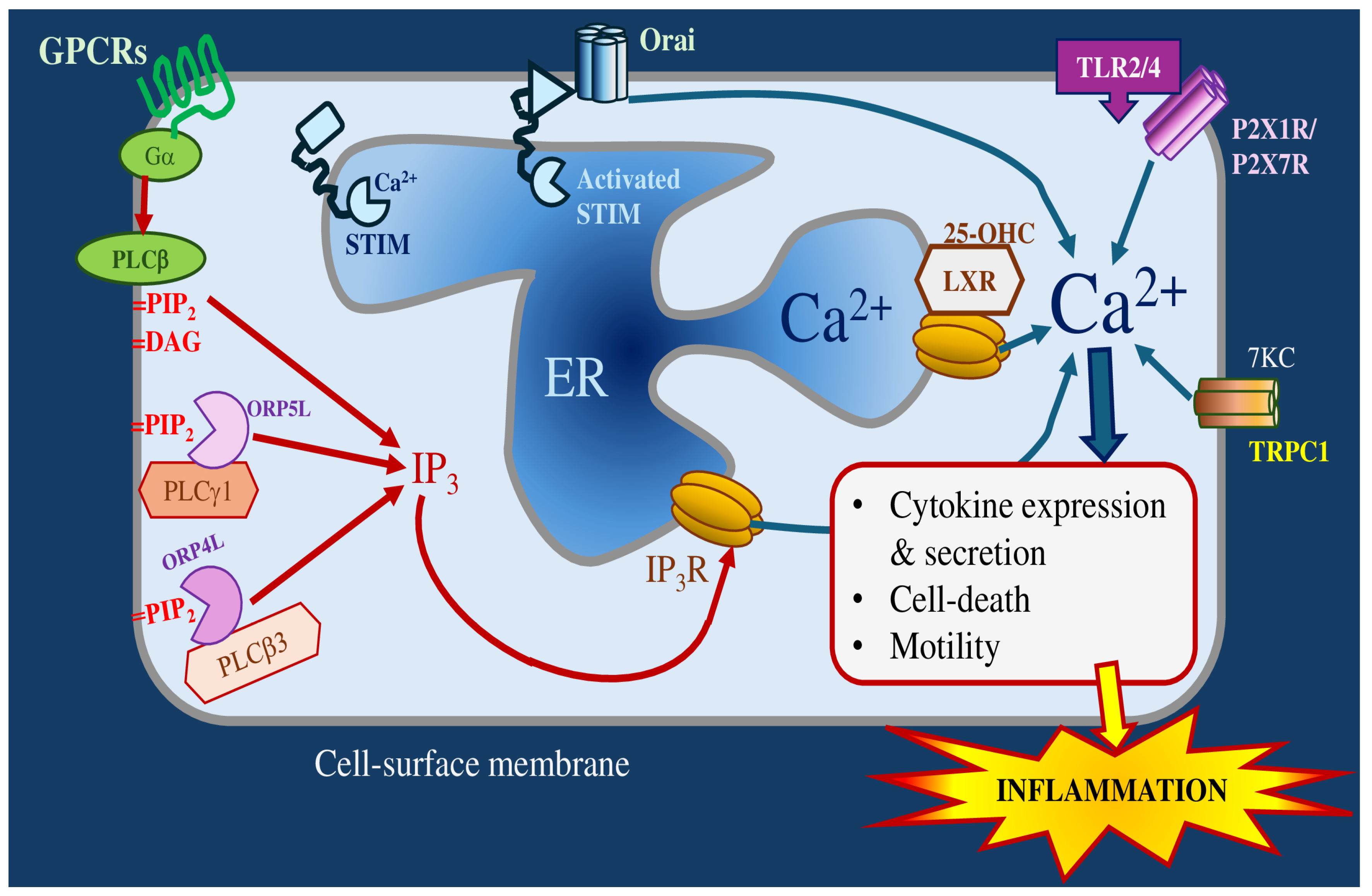 Molecules 30 02883 g003