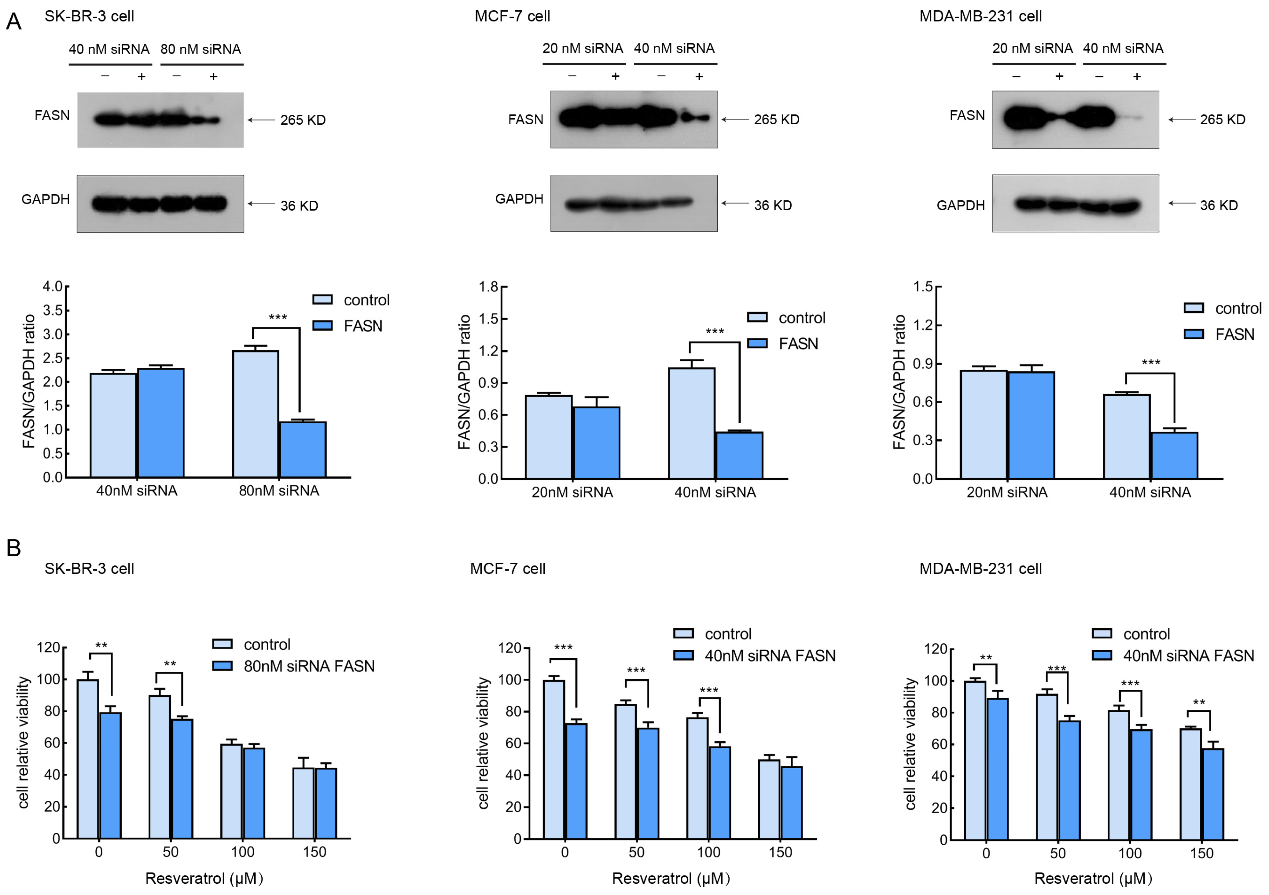 Molecules 30 02891 g004