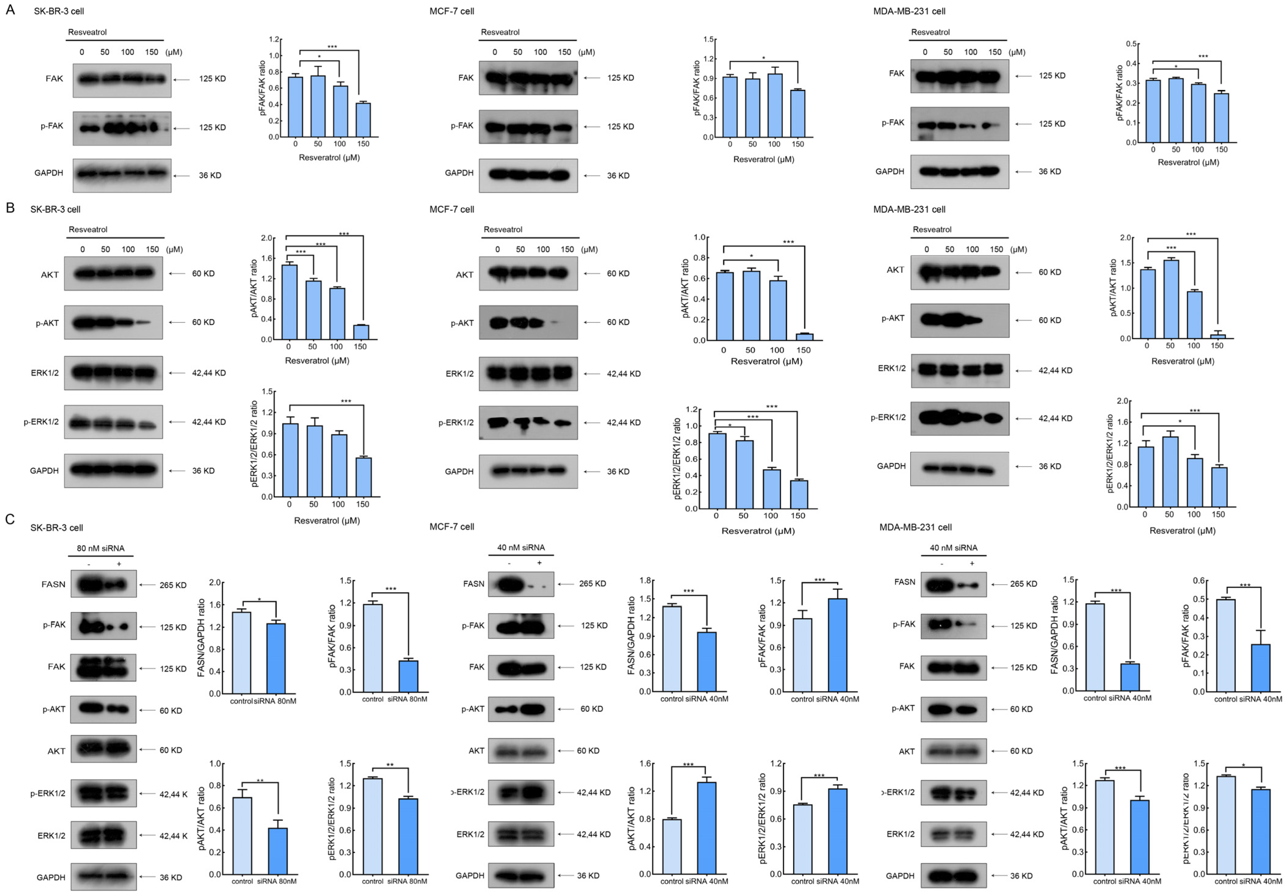Molecules 30 02891 g006