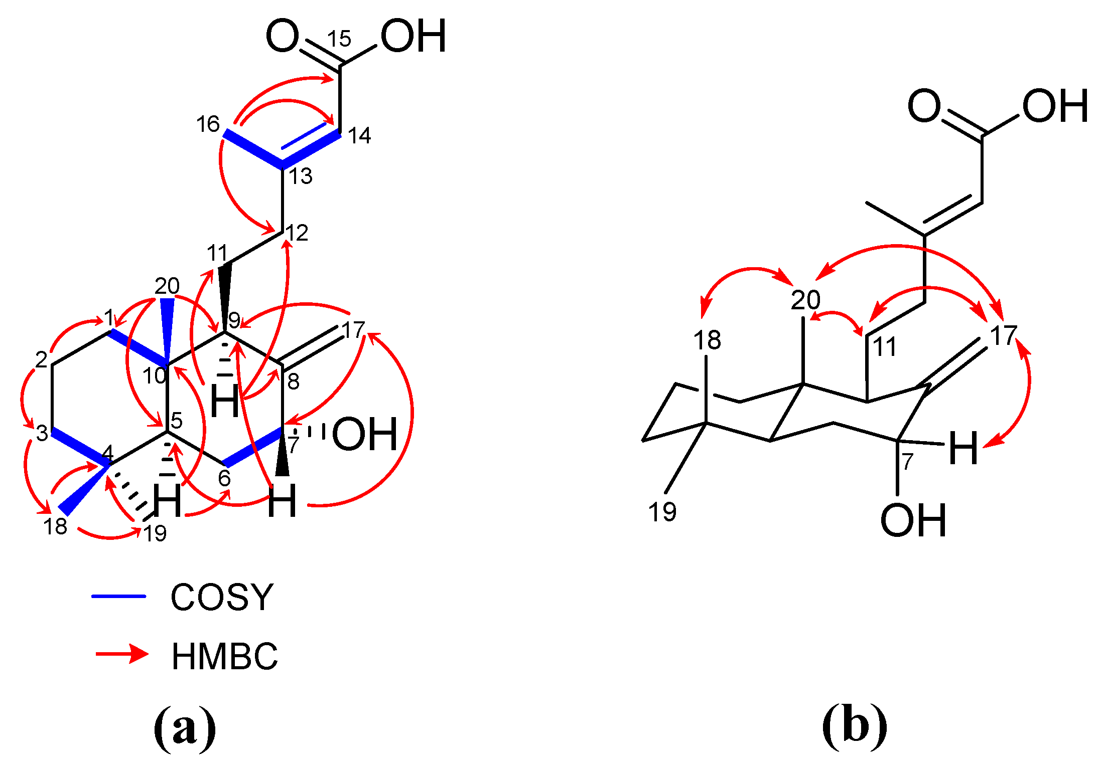 Molecules 30 02895 g006