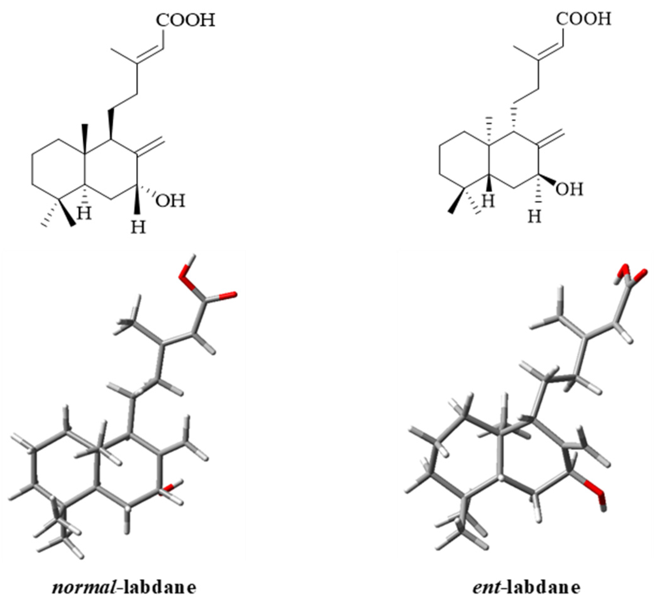 Molecules 30 02895 g007