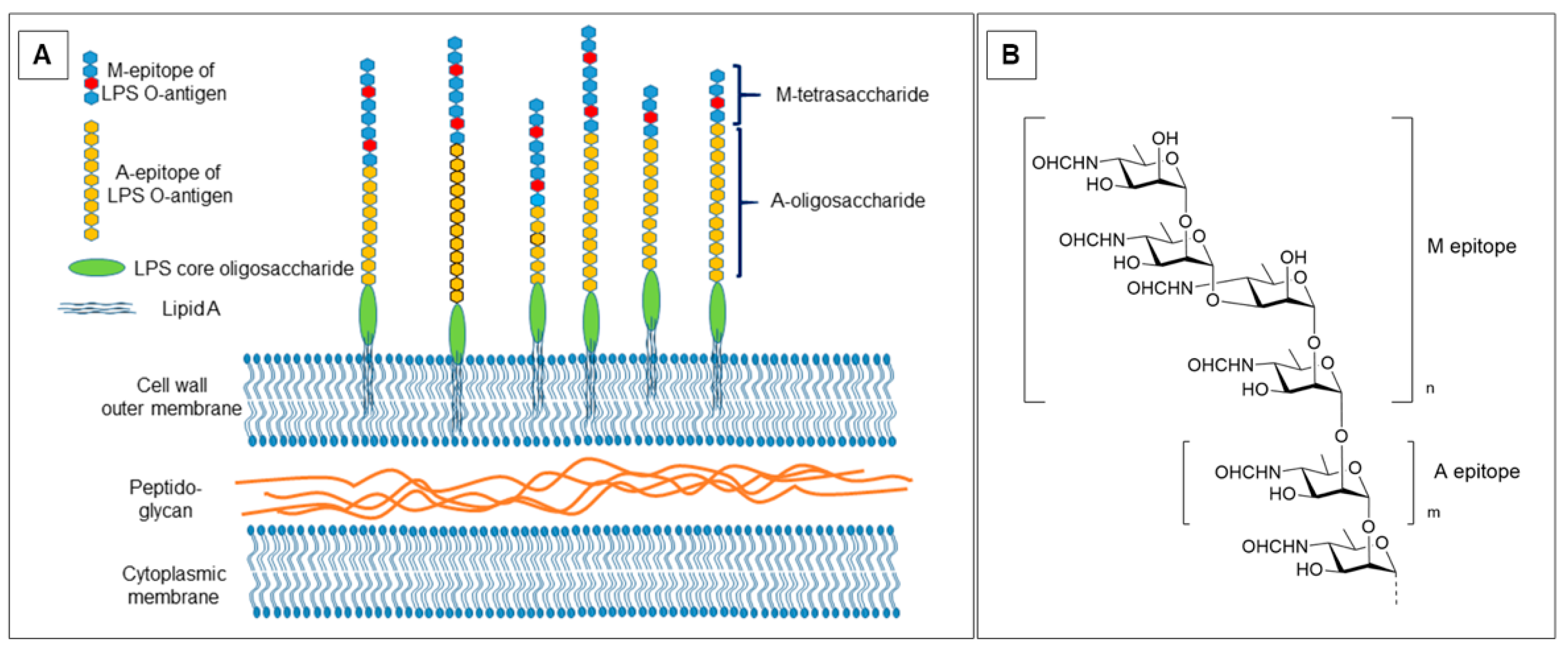 Molecules 30 02906 g001