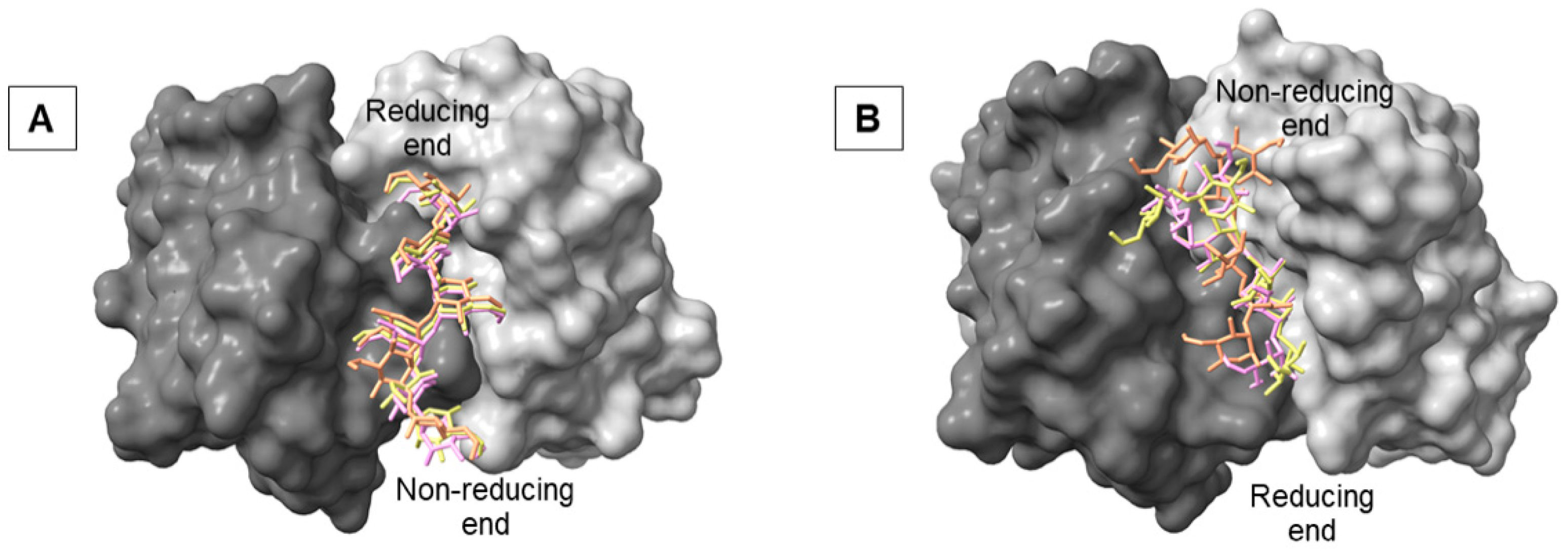 Molecules 30 02906 g005