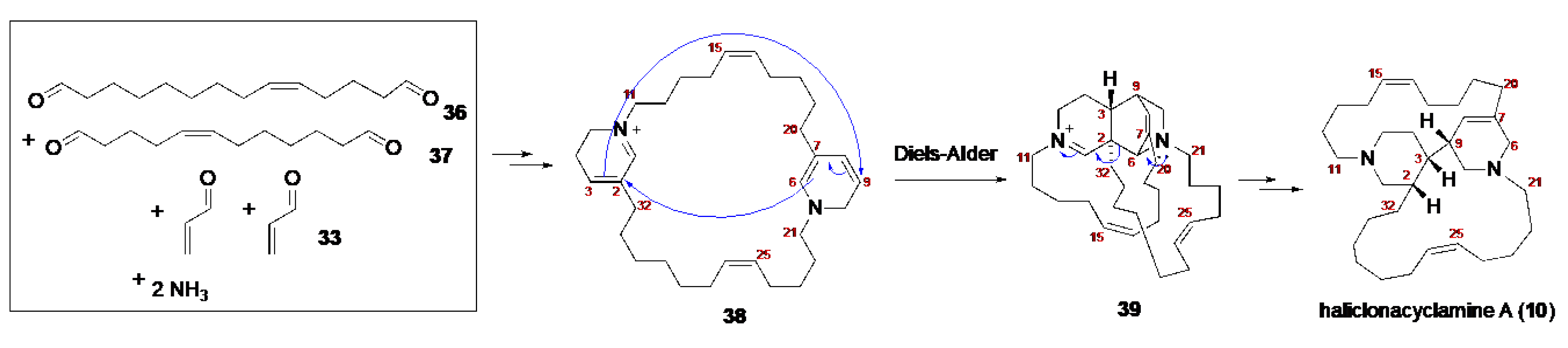 Molecules 30 02907 sch002