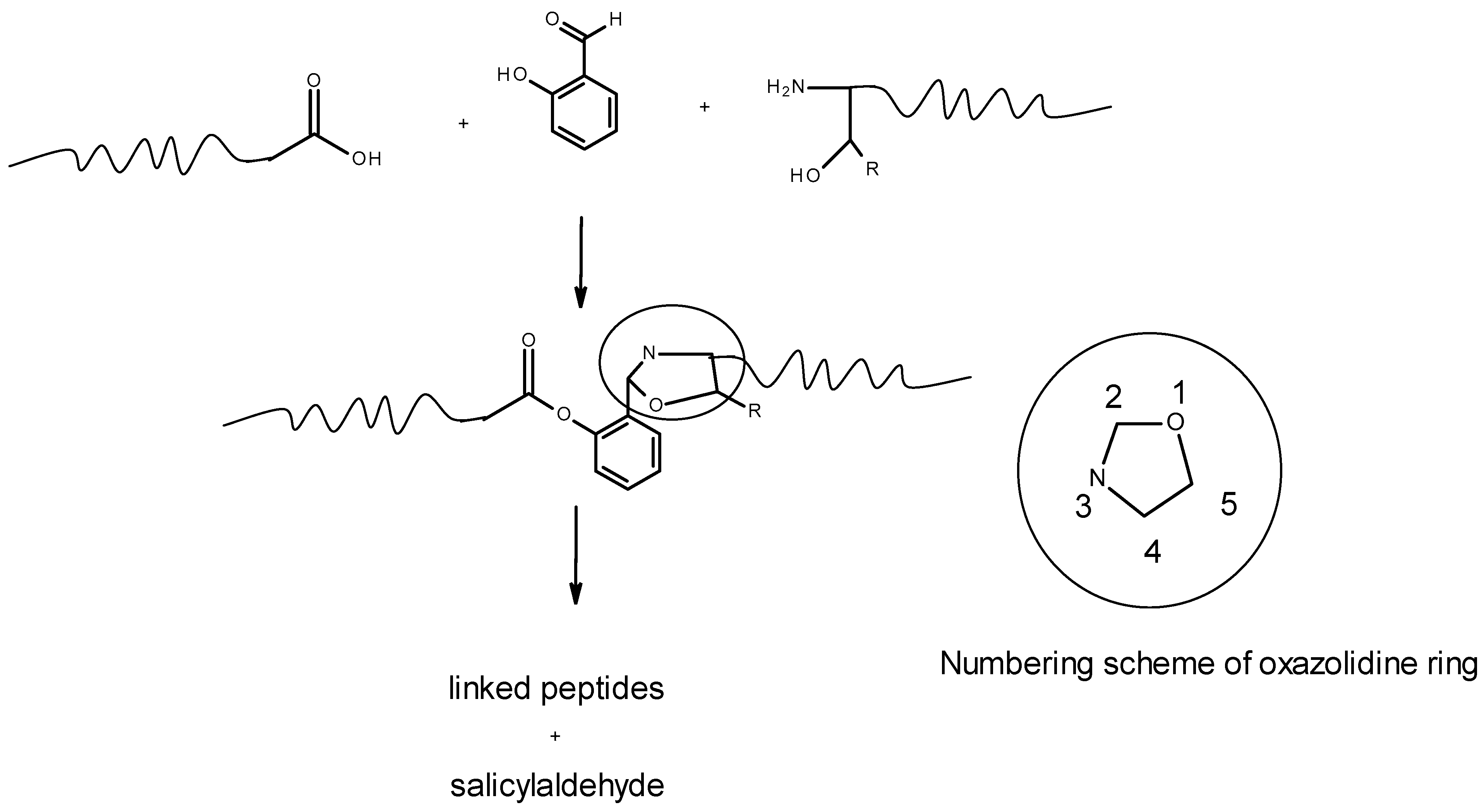 Molecules 30 02913 g001