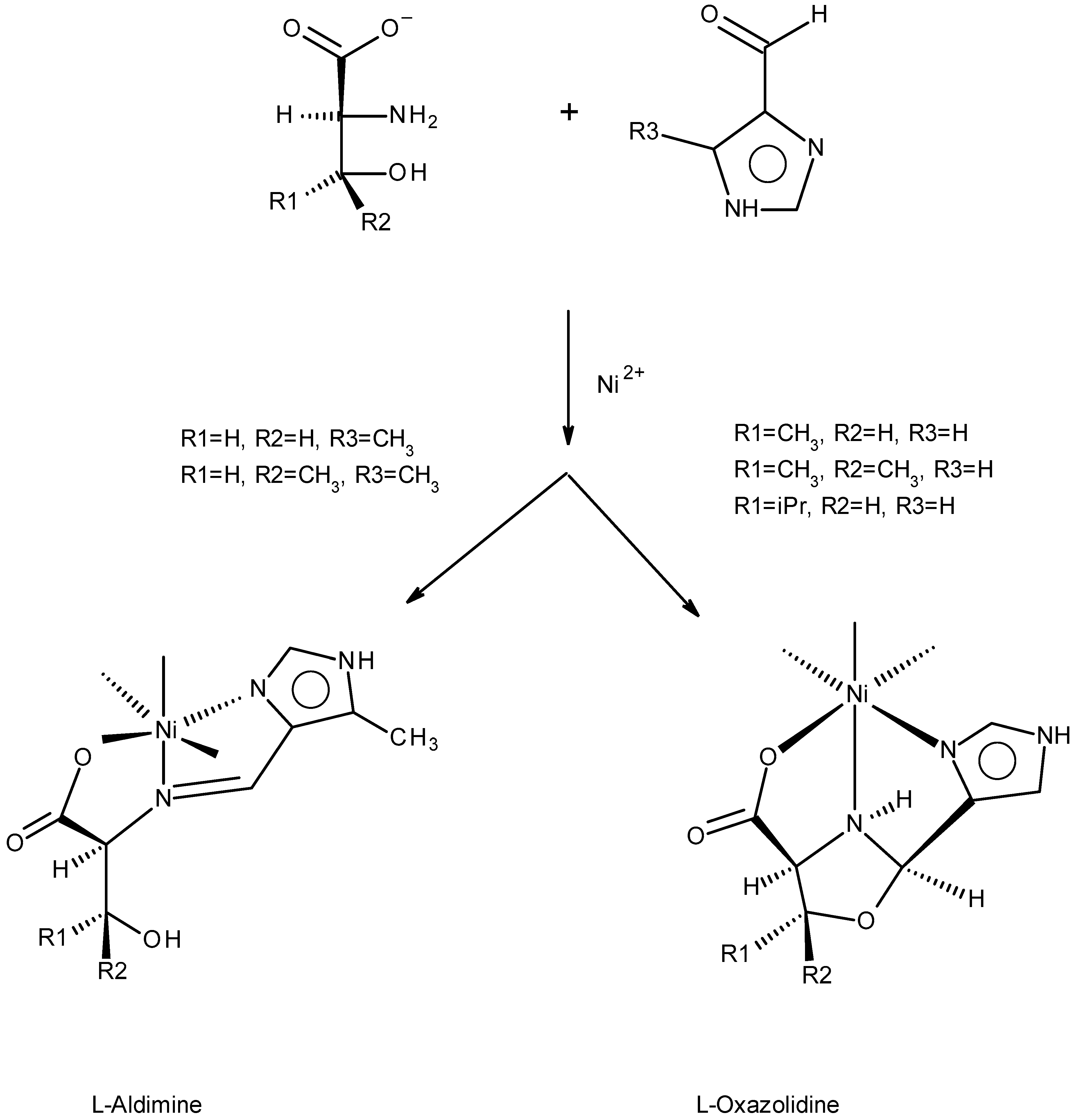 Molecules 30 02913 g005