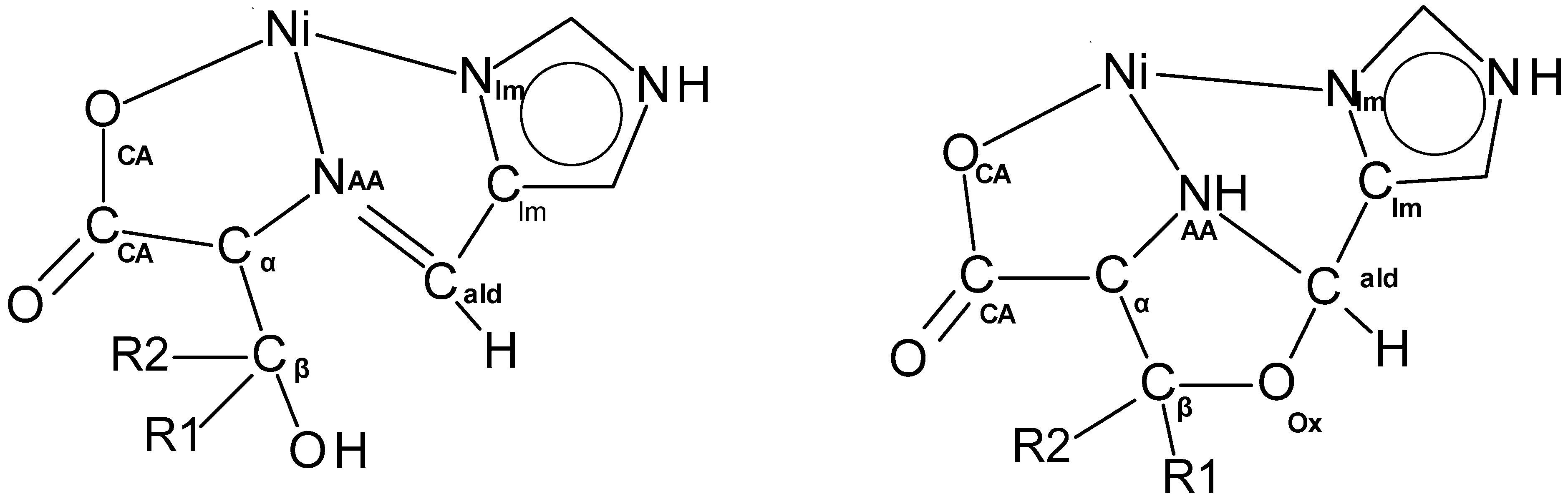 Molecules 30 02913 g006