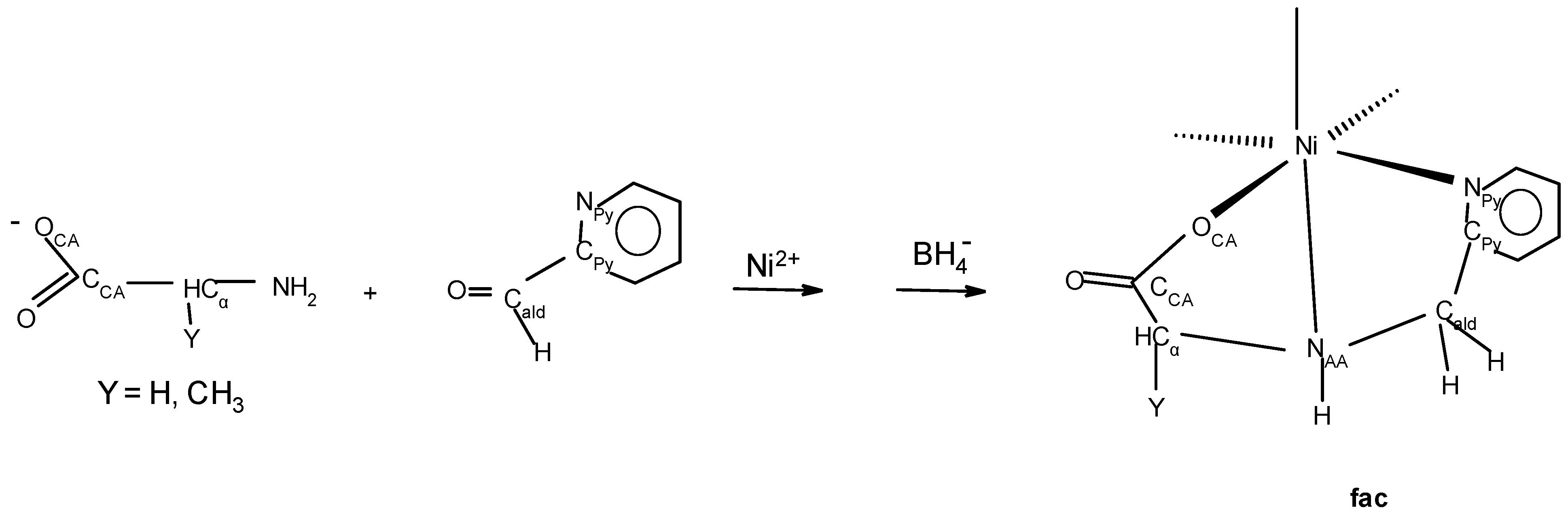 Molecules 30 02913 g007