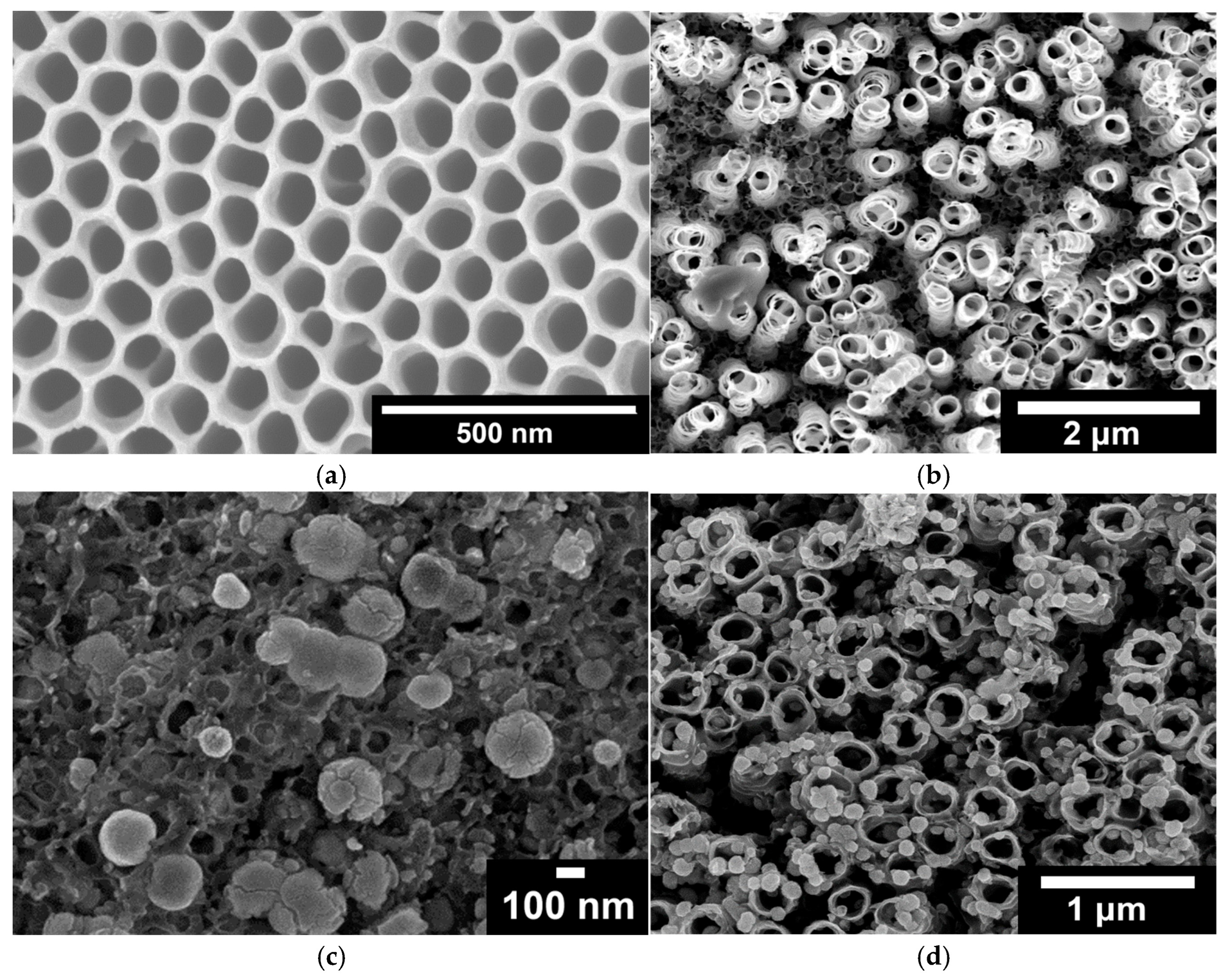Molecules 30 02921 g001