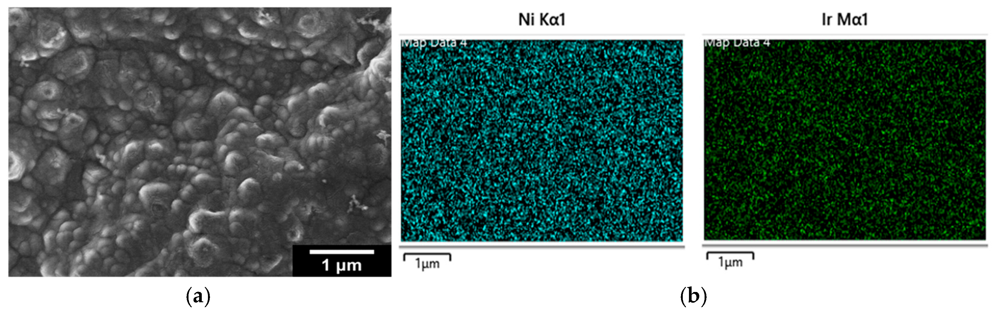 Molecules 30 02921 g002