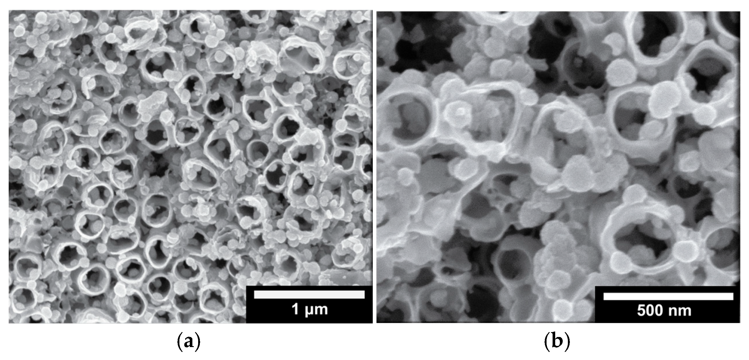 Molecules 30 02921 g009