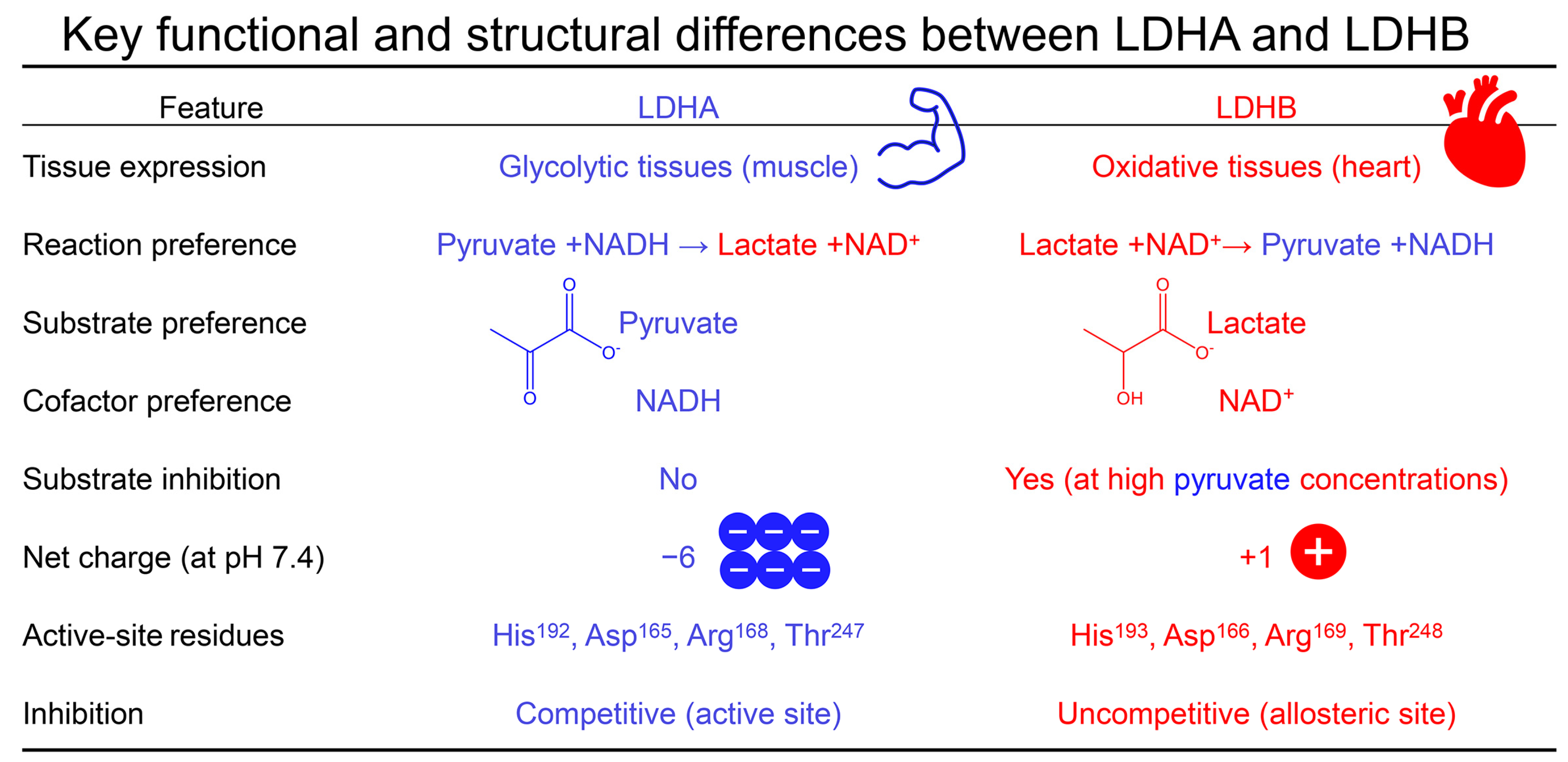 Molecules 30 02923 g008