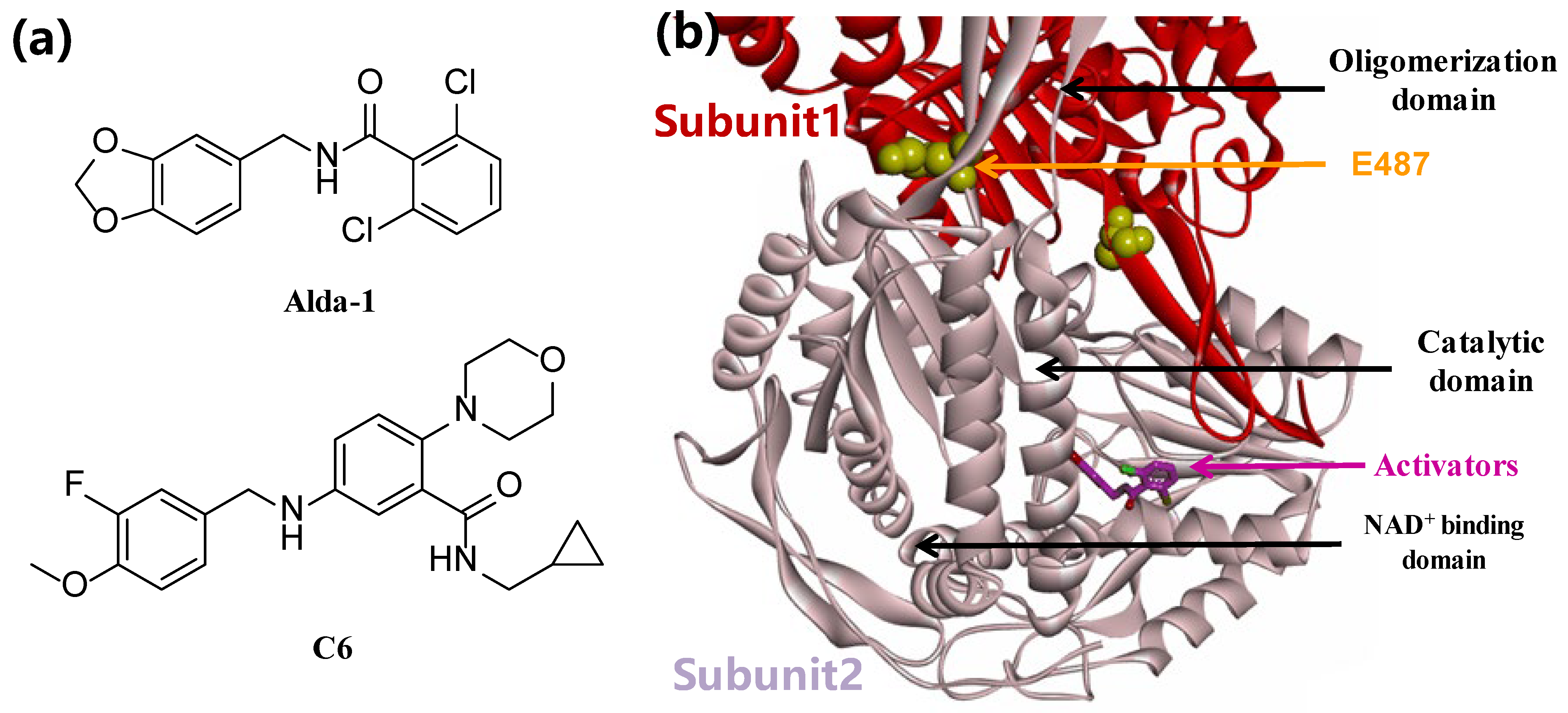 Molecules 30 02924 g001