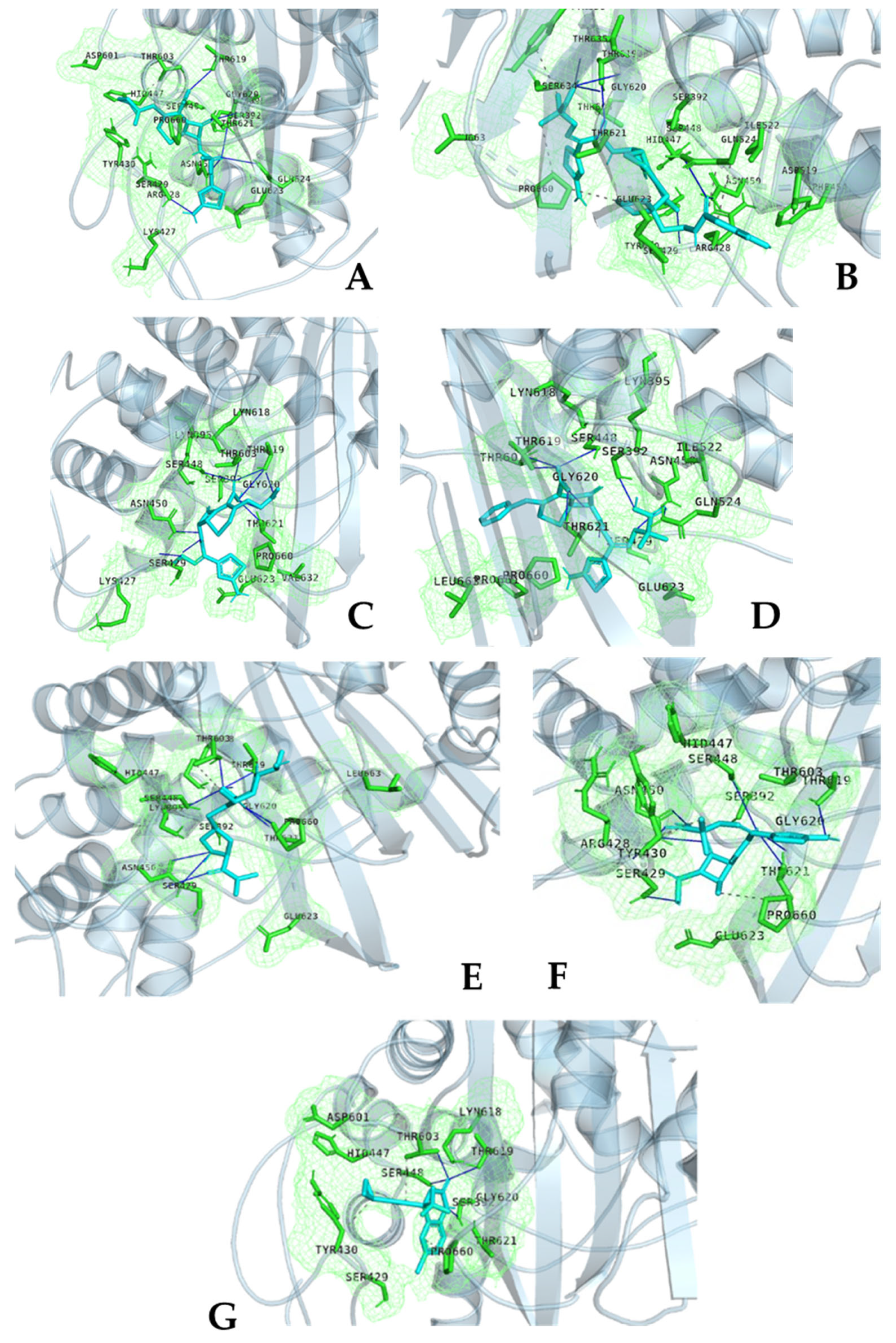Molecules 30 02925 g006
