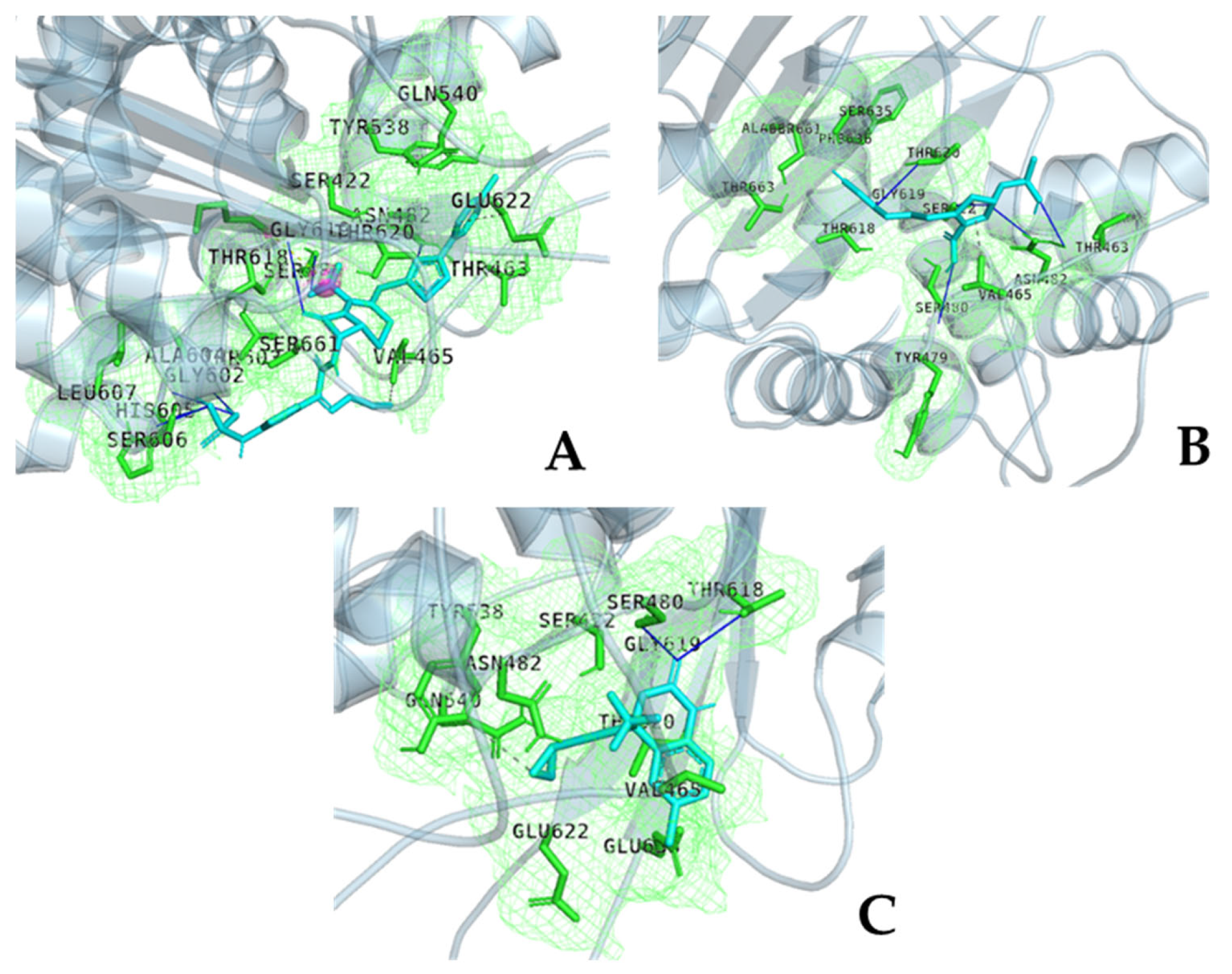 Molecules 30 02925 g009