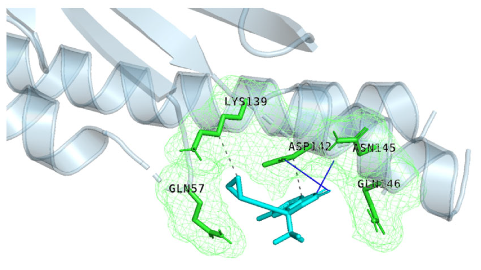 Molecules 30 02925 g010