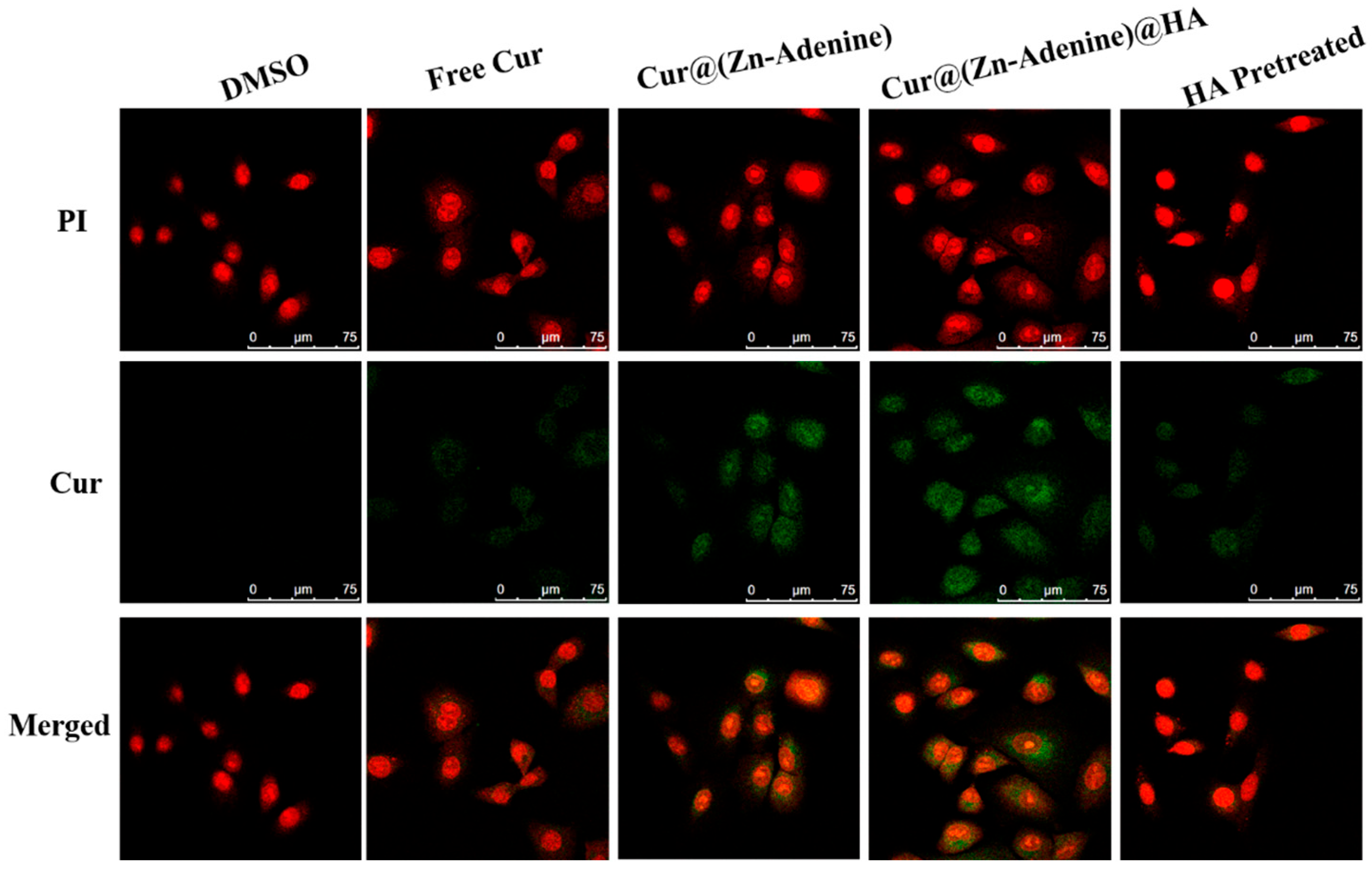 Molecules 30 02940 g012