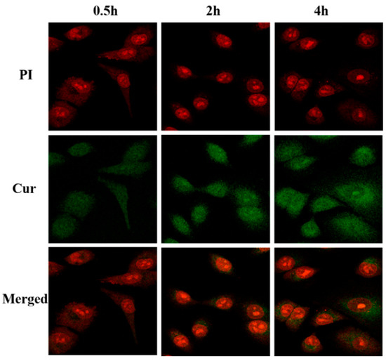 Molecules 30 02940 g013