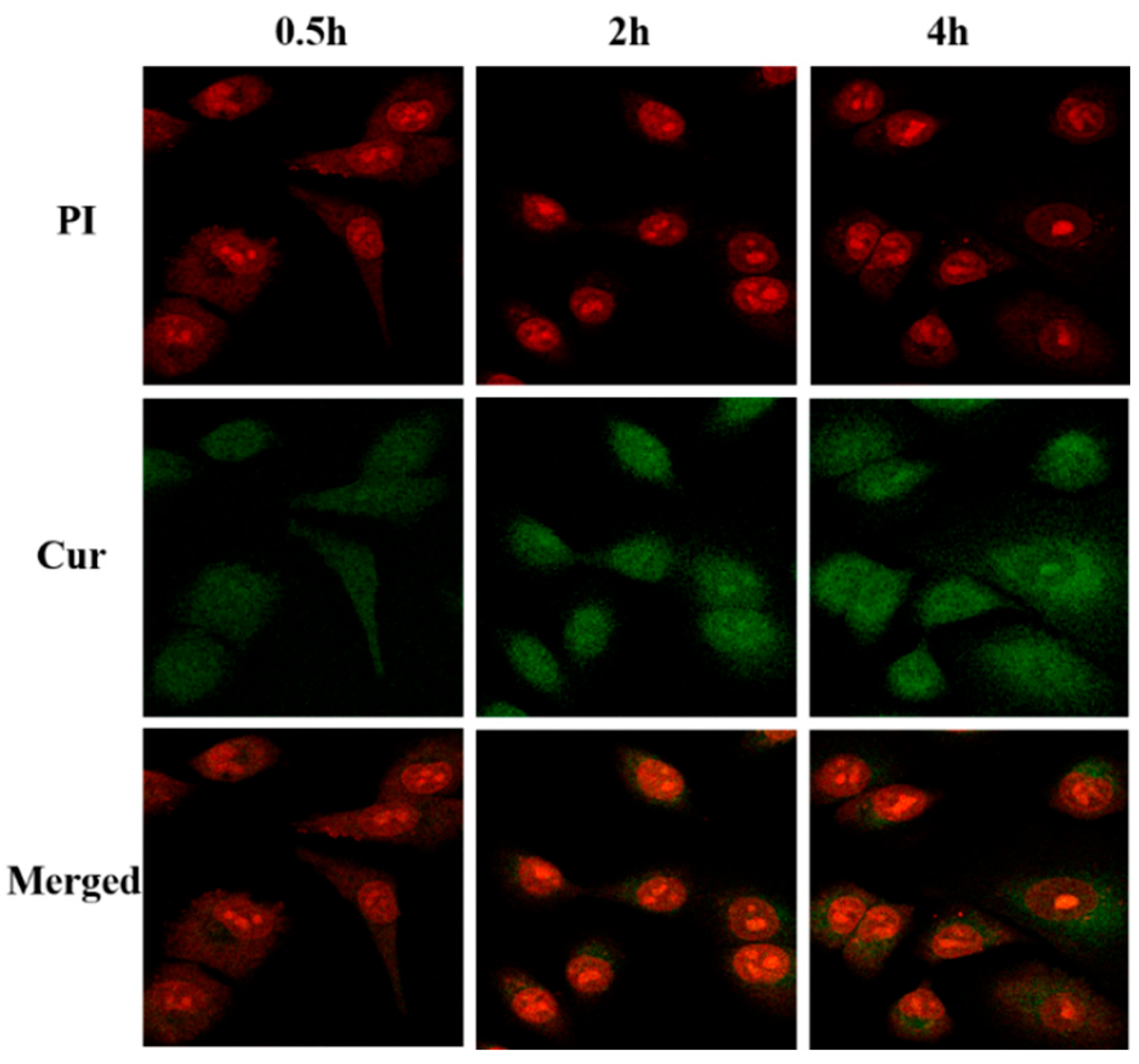 Molecules 30 02940 g013