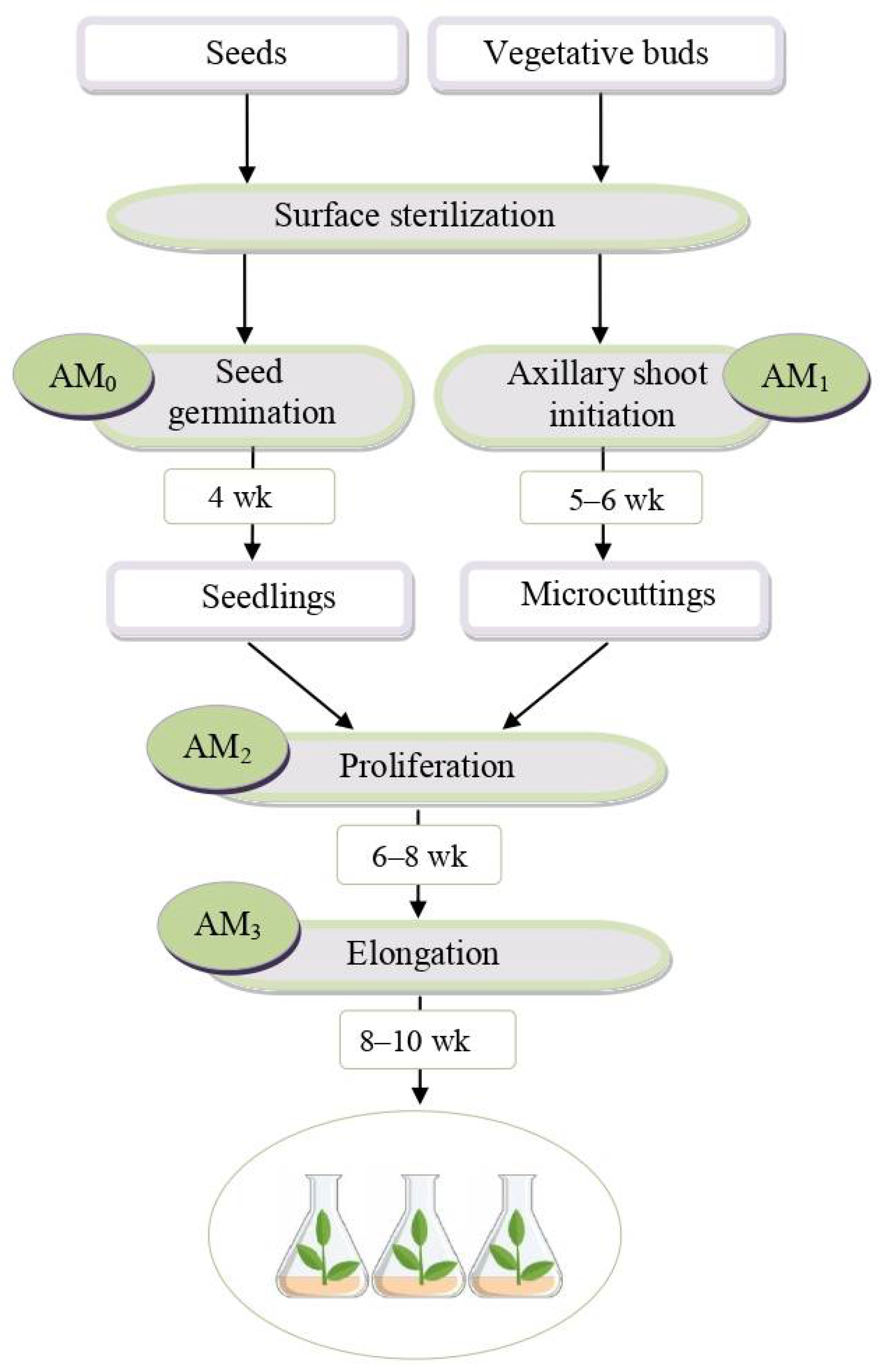 Molecules 30 02949 g001