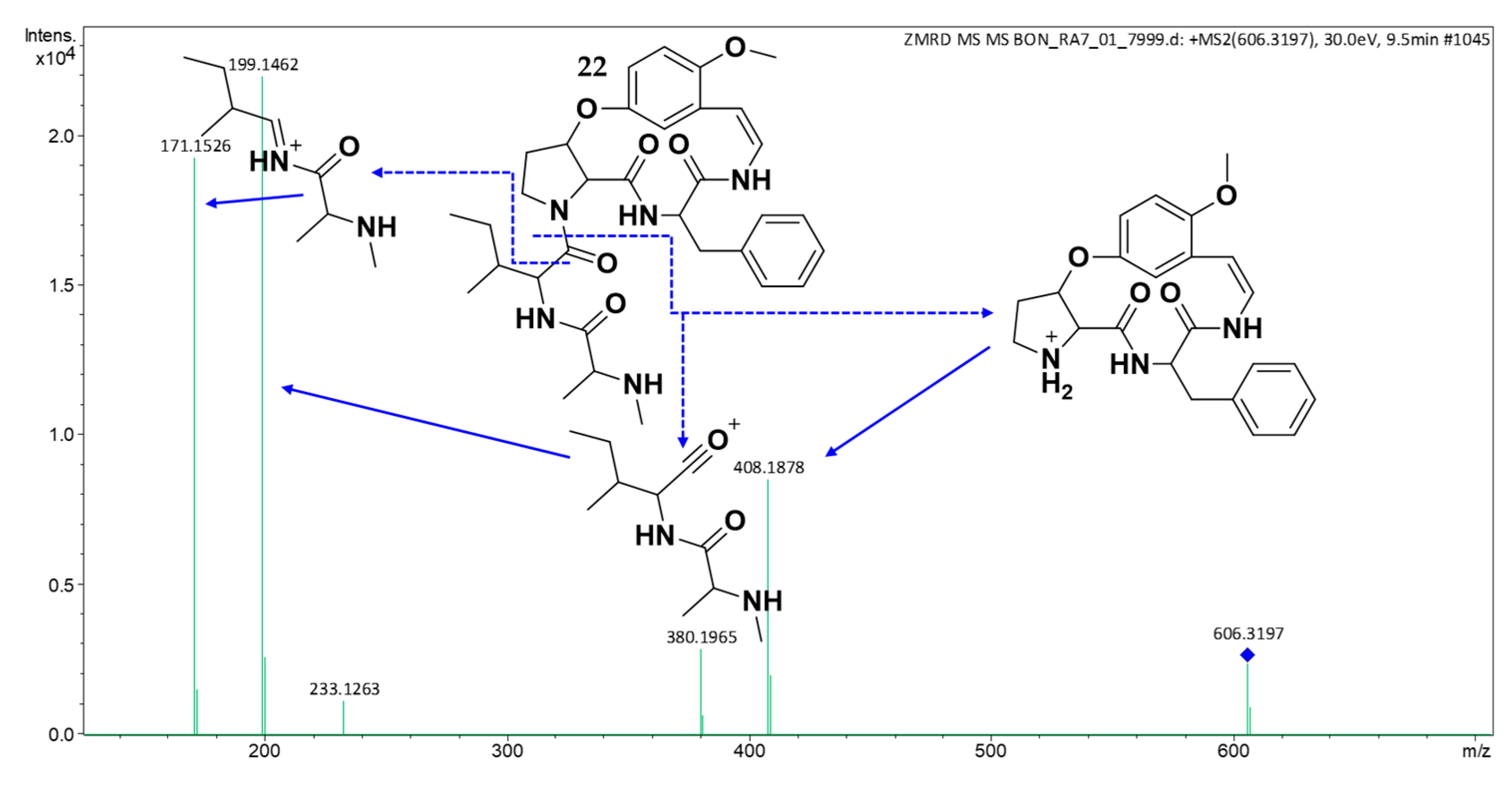 Molecules 30 02958 g011 Molecules 30 02958 g011