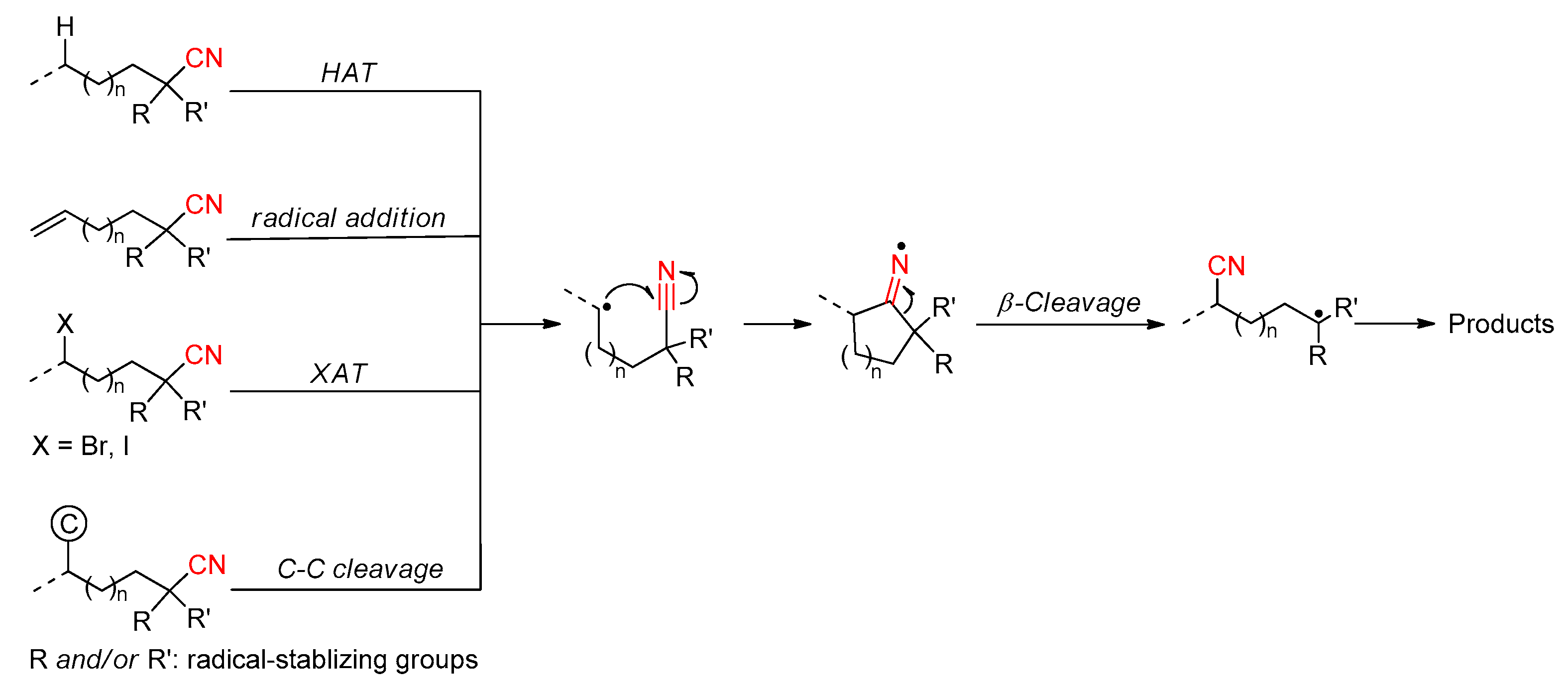 Molecules 30 02959 sch001 Molecules 30 02959 sch001