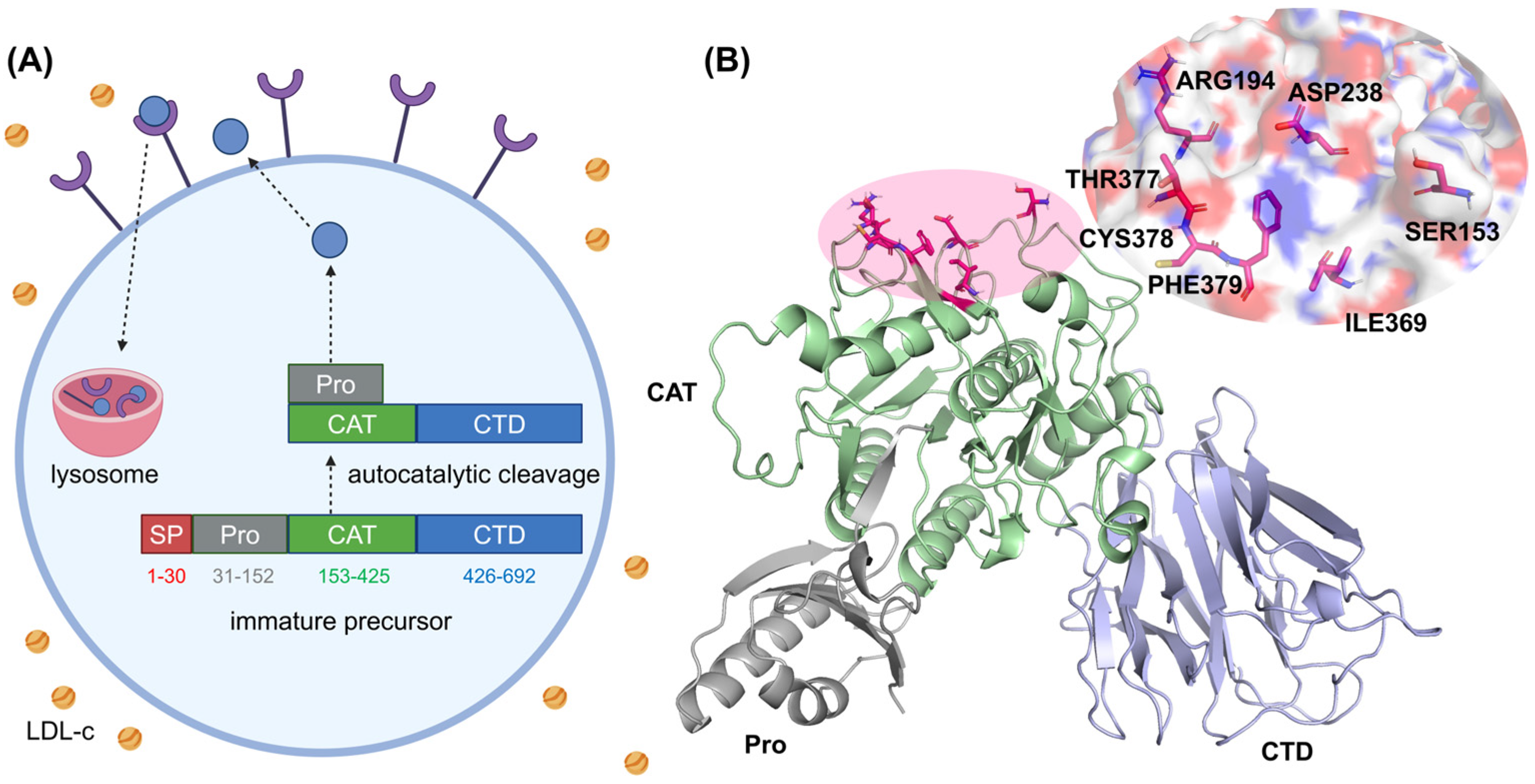Molecules 30 02962 g001