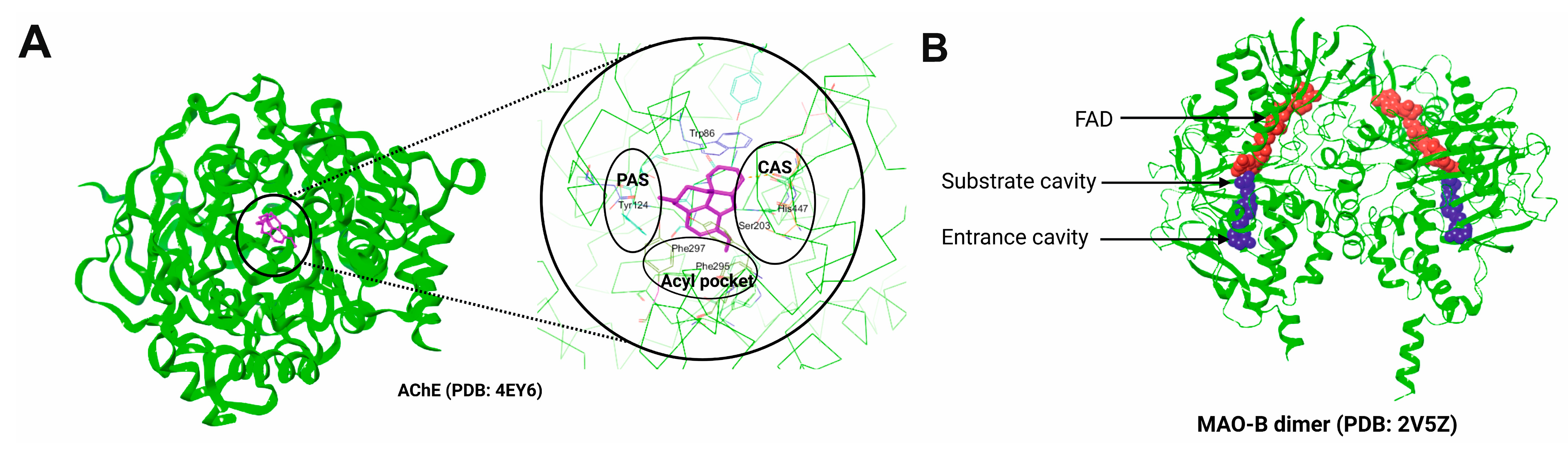 Molecules 30 02975 g004