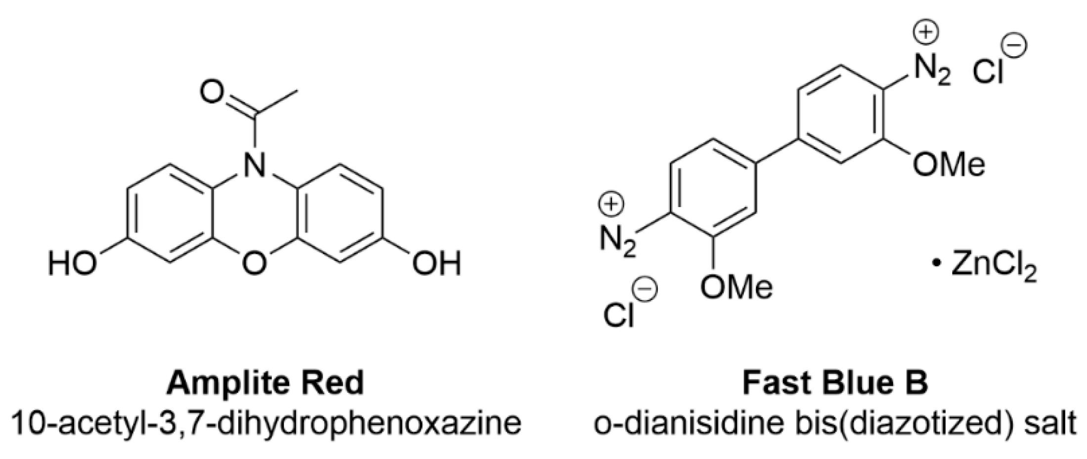 Molecules 30 02975 g005