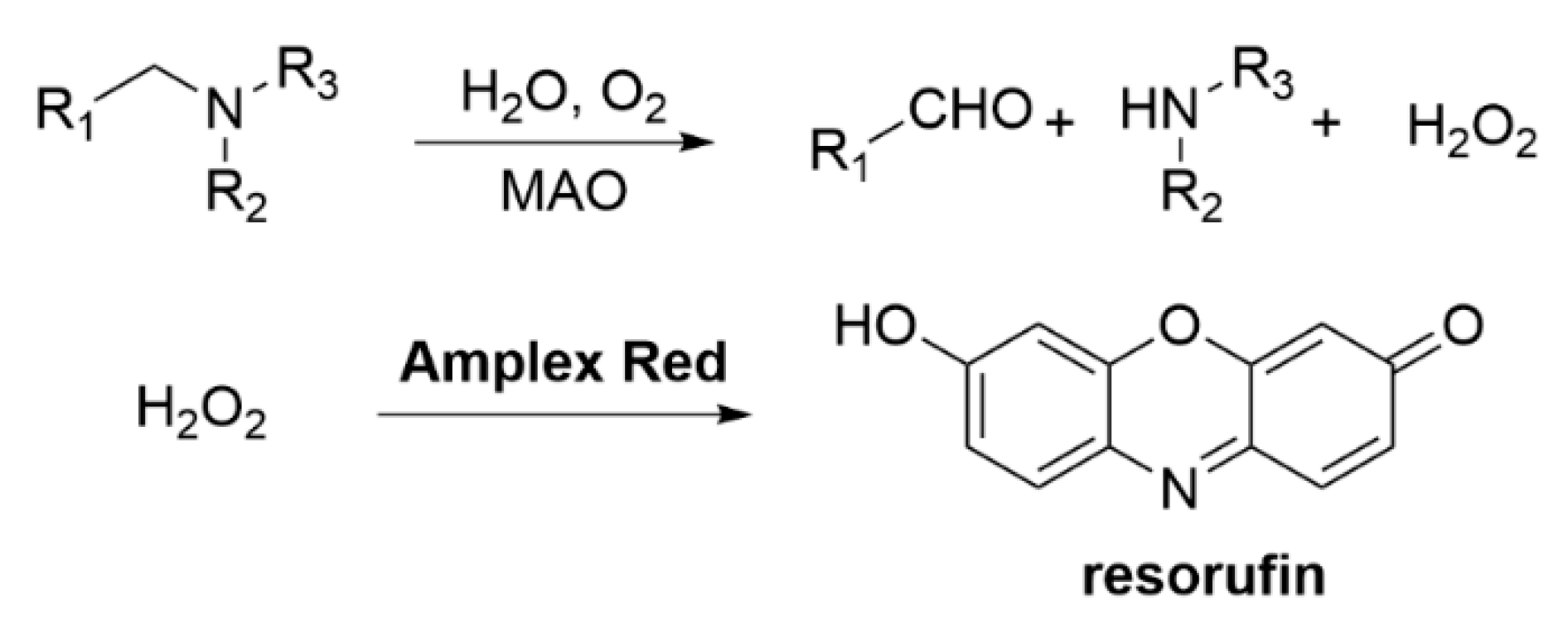 Molecules 30 02975 sch005