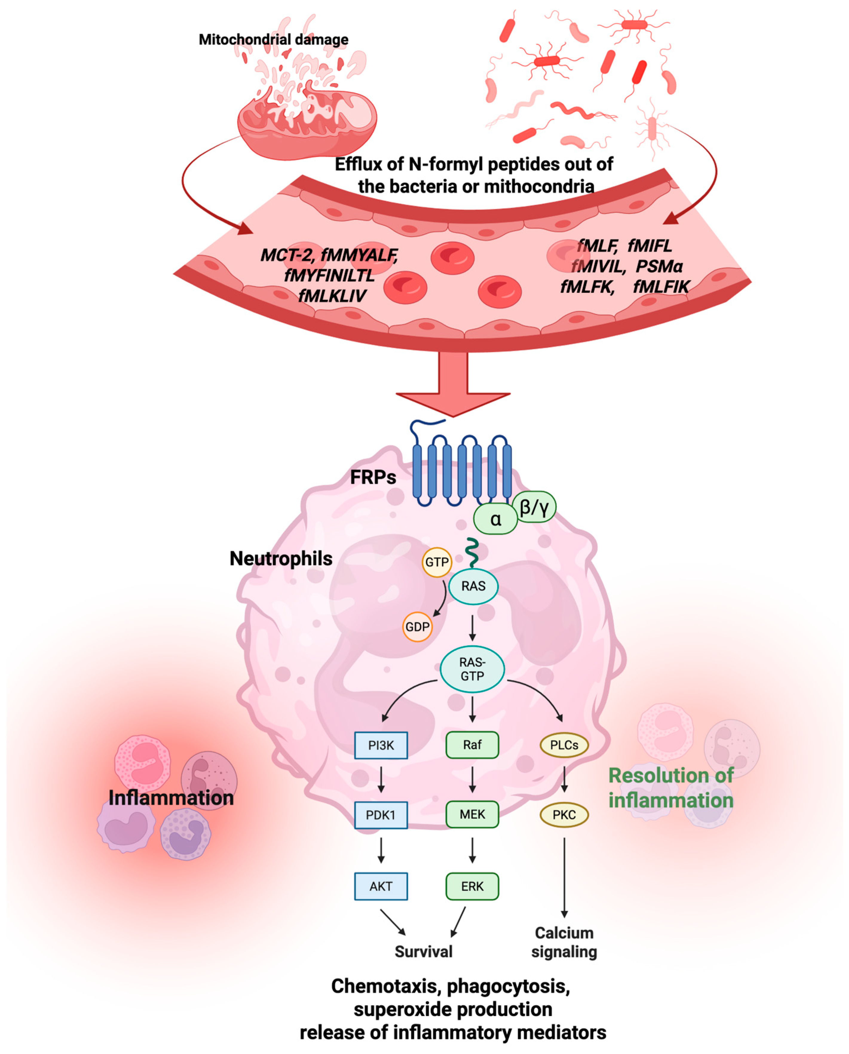 Molecules 30 02981 g002