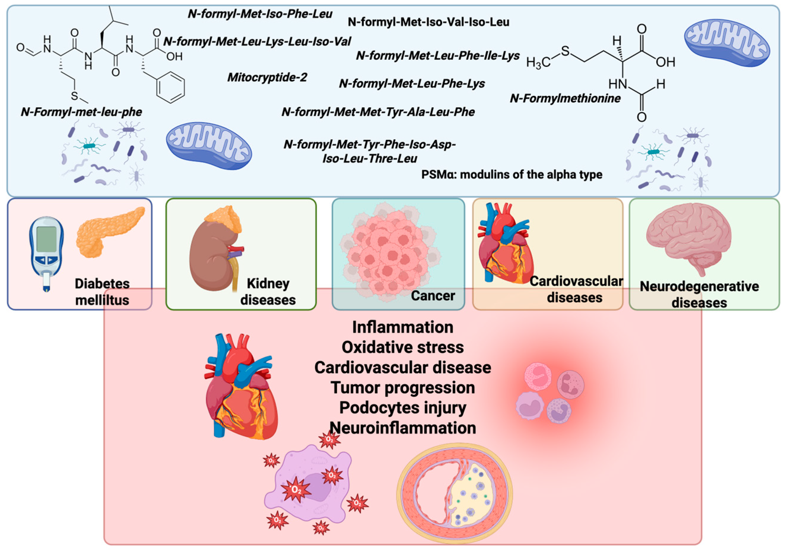 Molecules 30 02981 g003