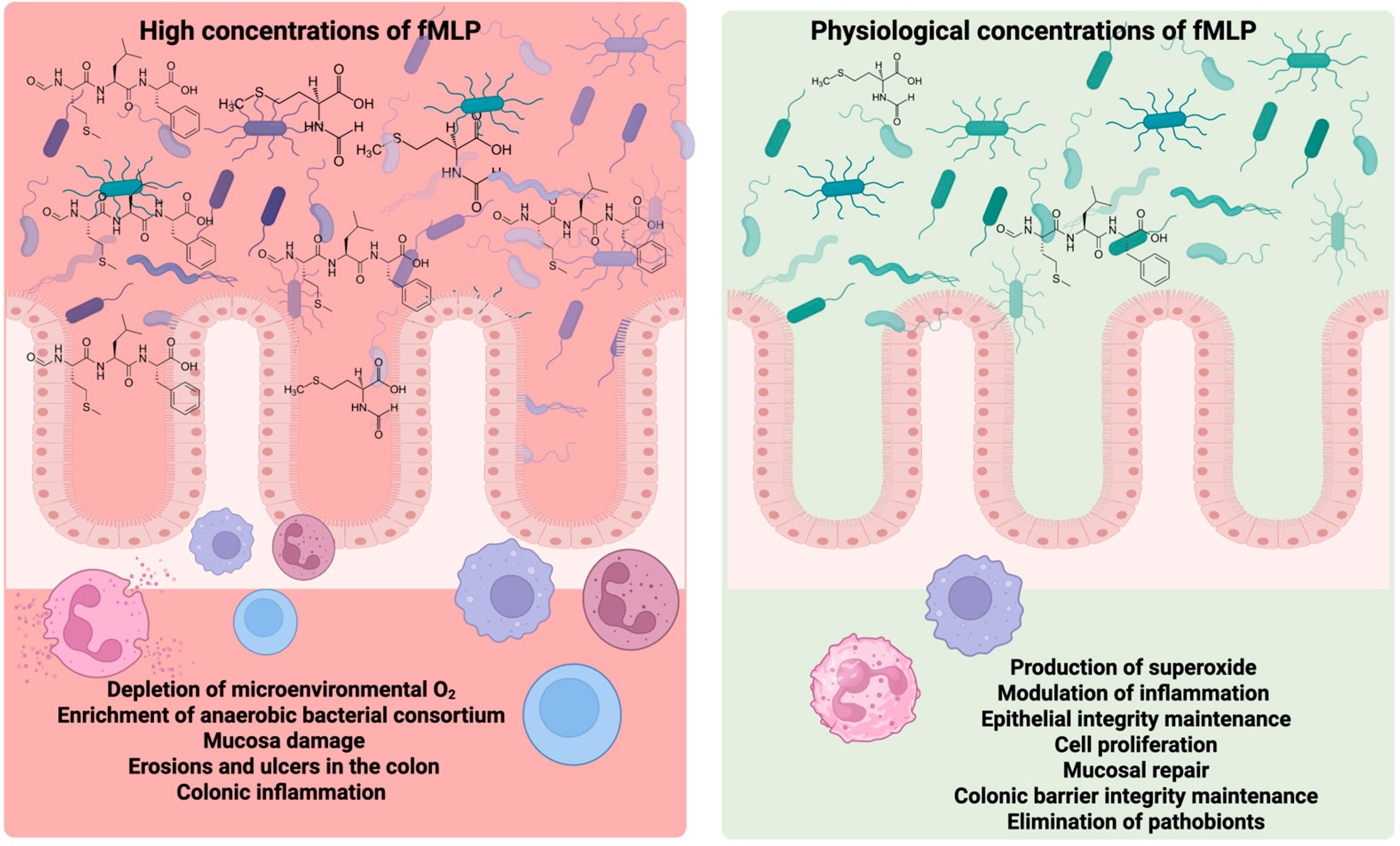 Molecules 30 02981 g004