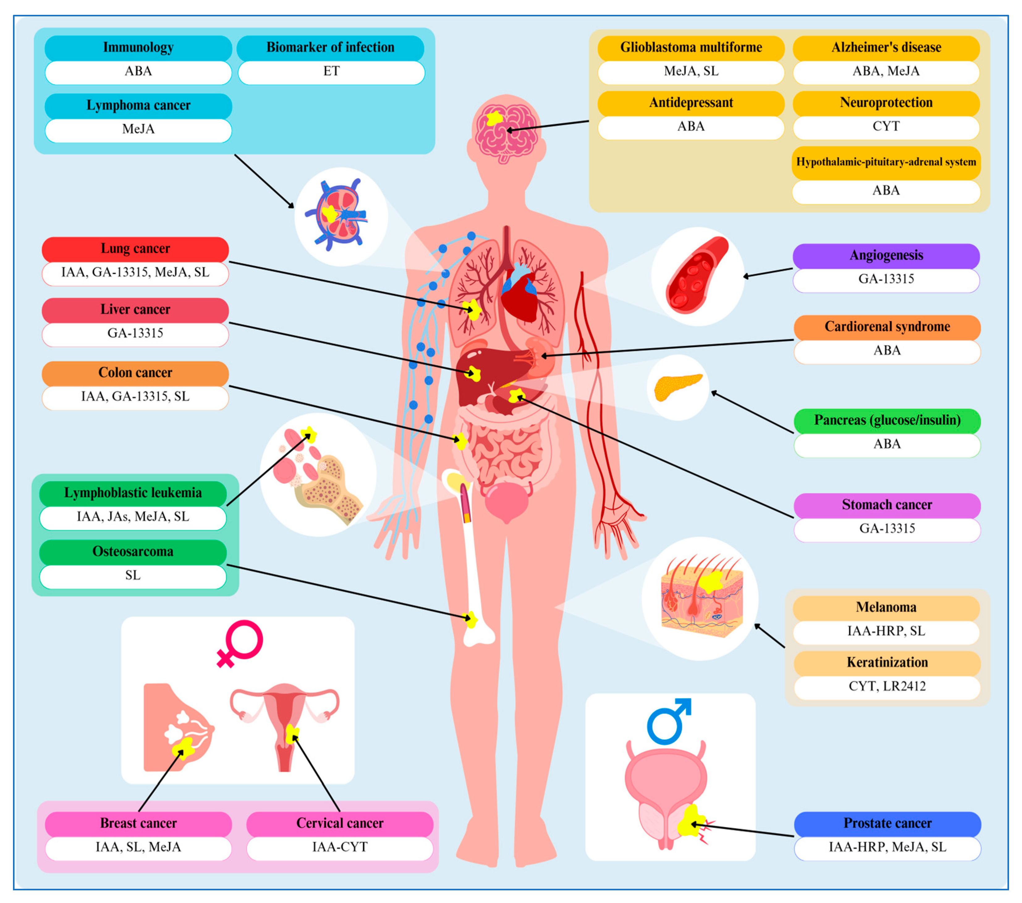 Molecules 30 02984 g002