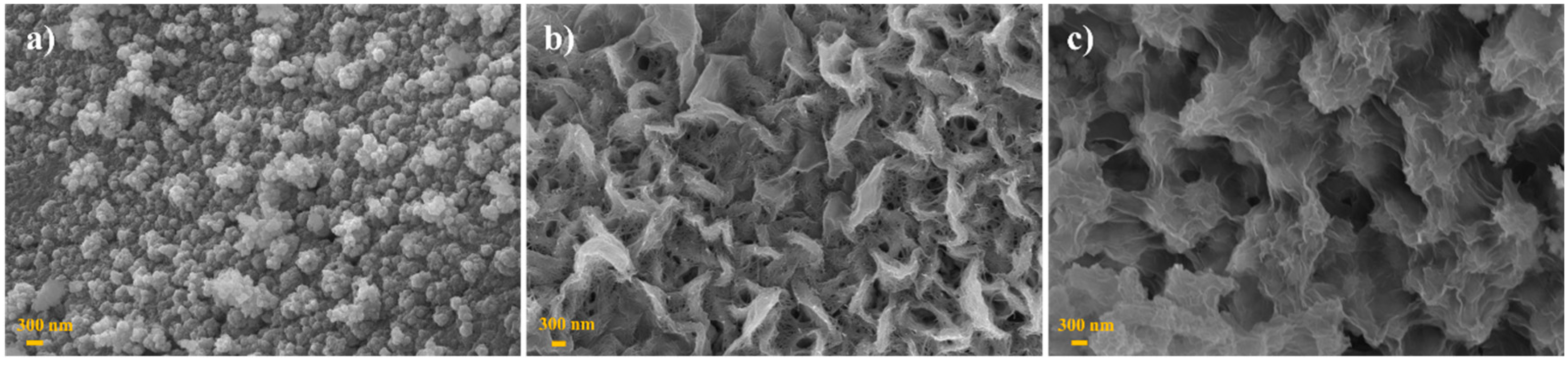 Molecules 30 02986 g001 Molecules 30 02986 g001