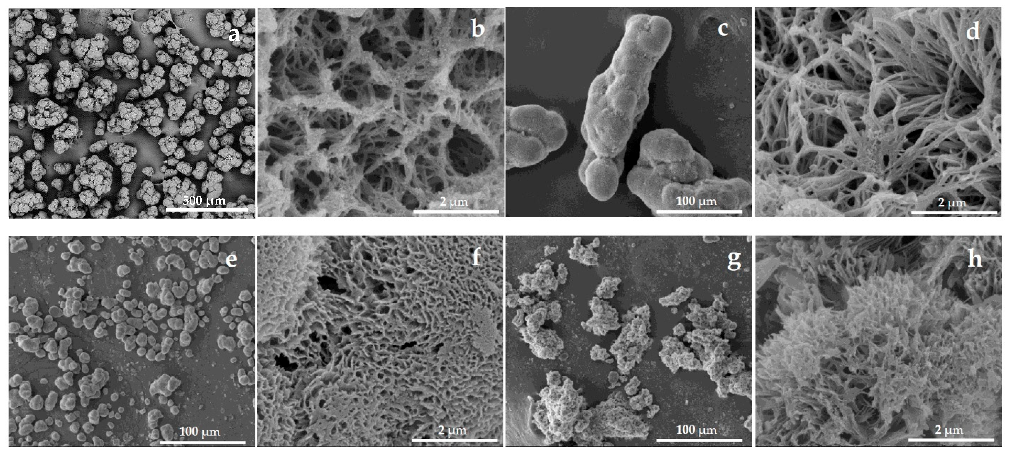 Molecules 30 03003 g001