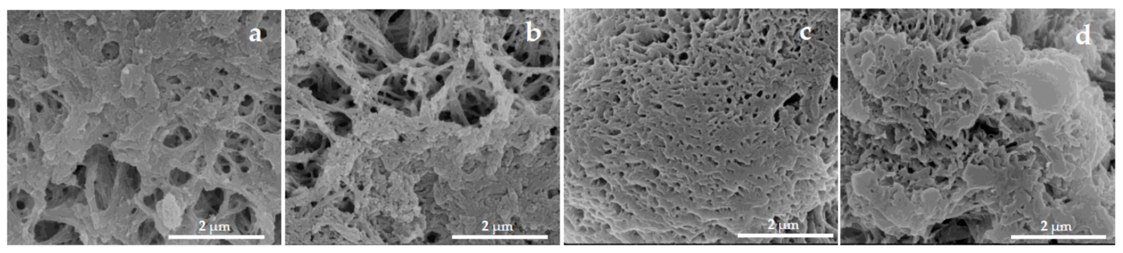Molecules 30 03003 g002